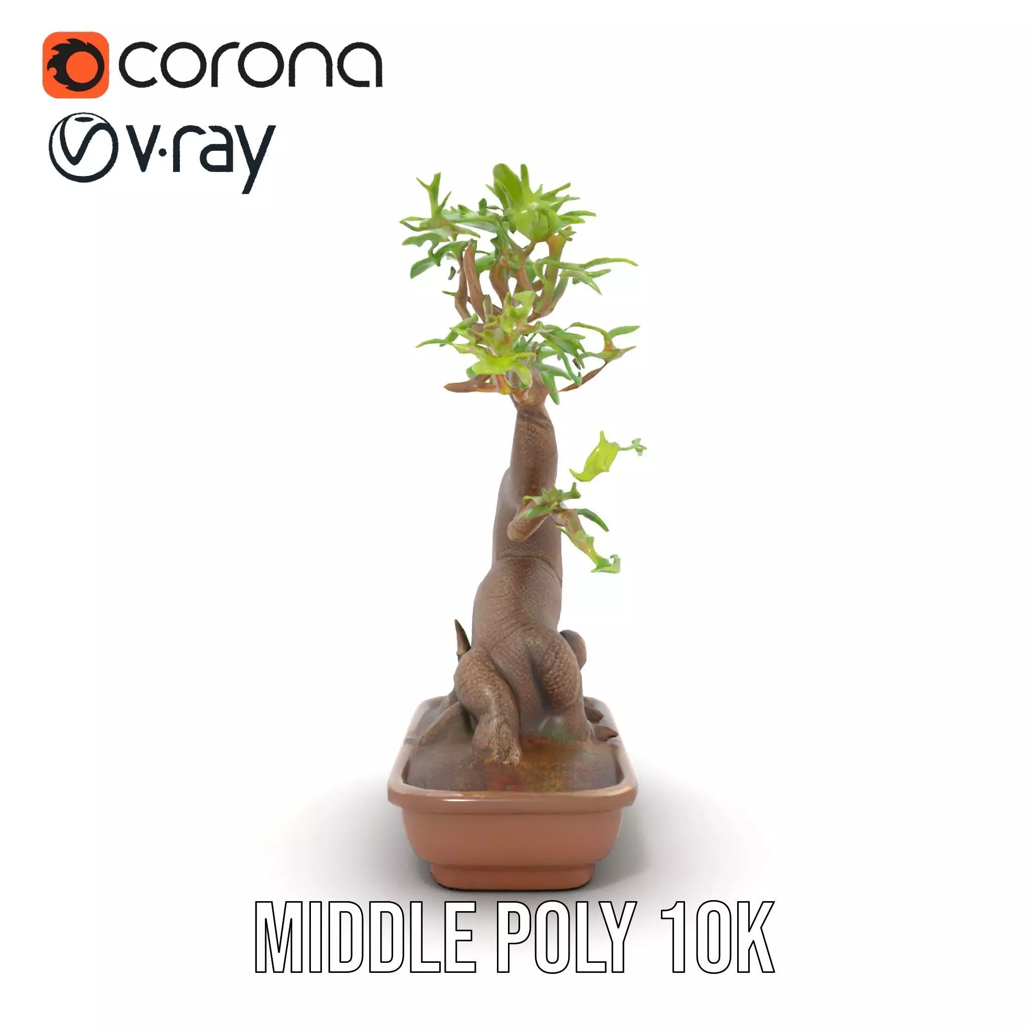 Curved Bonsai Tree model pack Low-poly 3D model_11