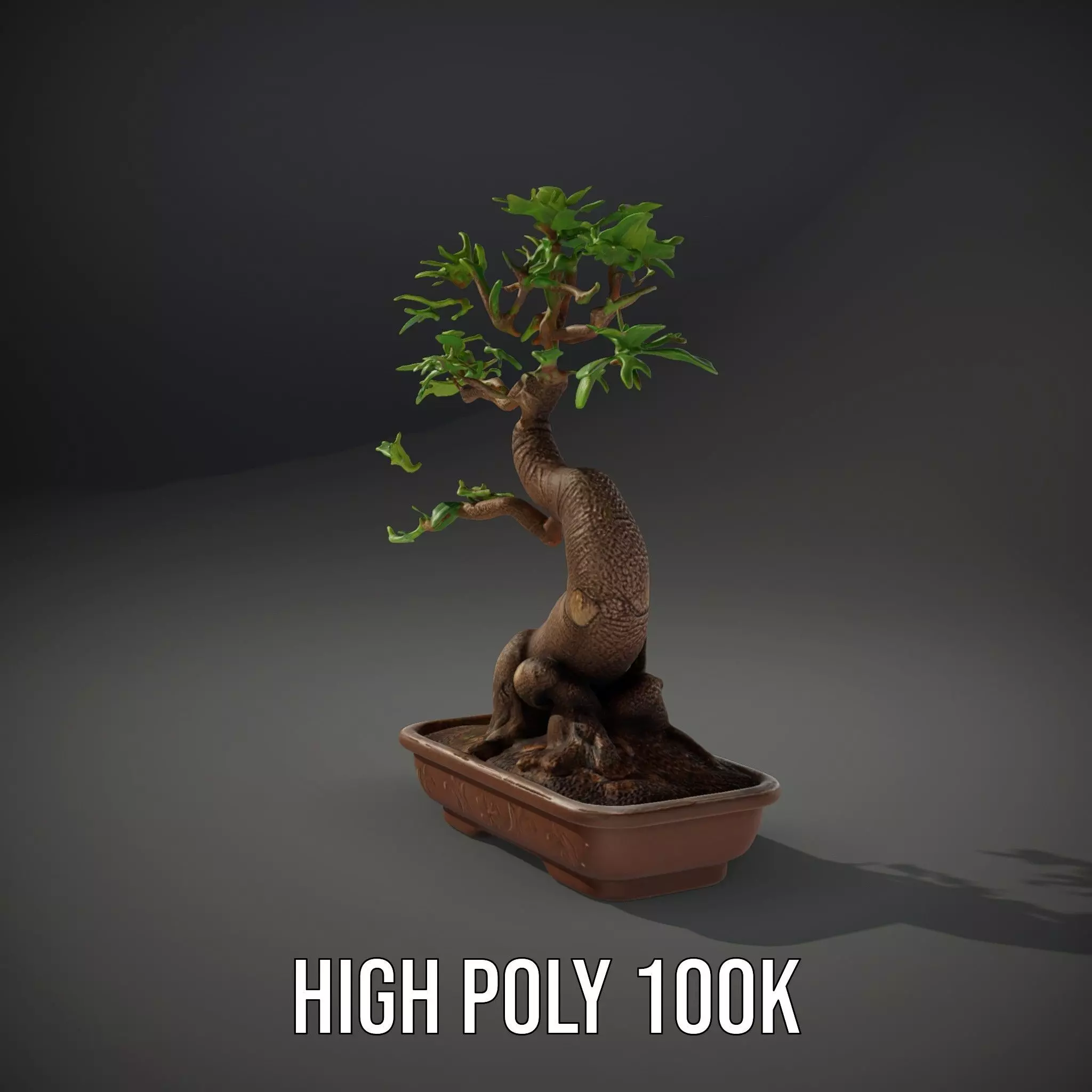 Curved Bonsai Tree model pack Low-poly 3D model_8