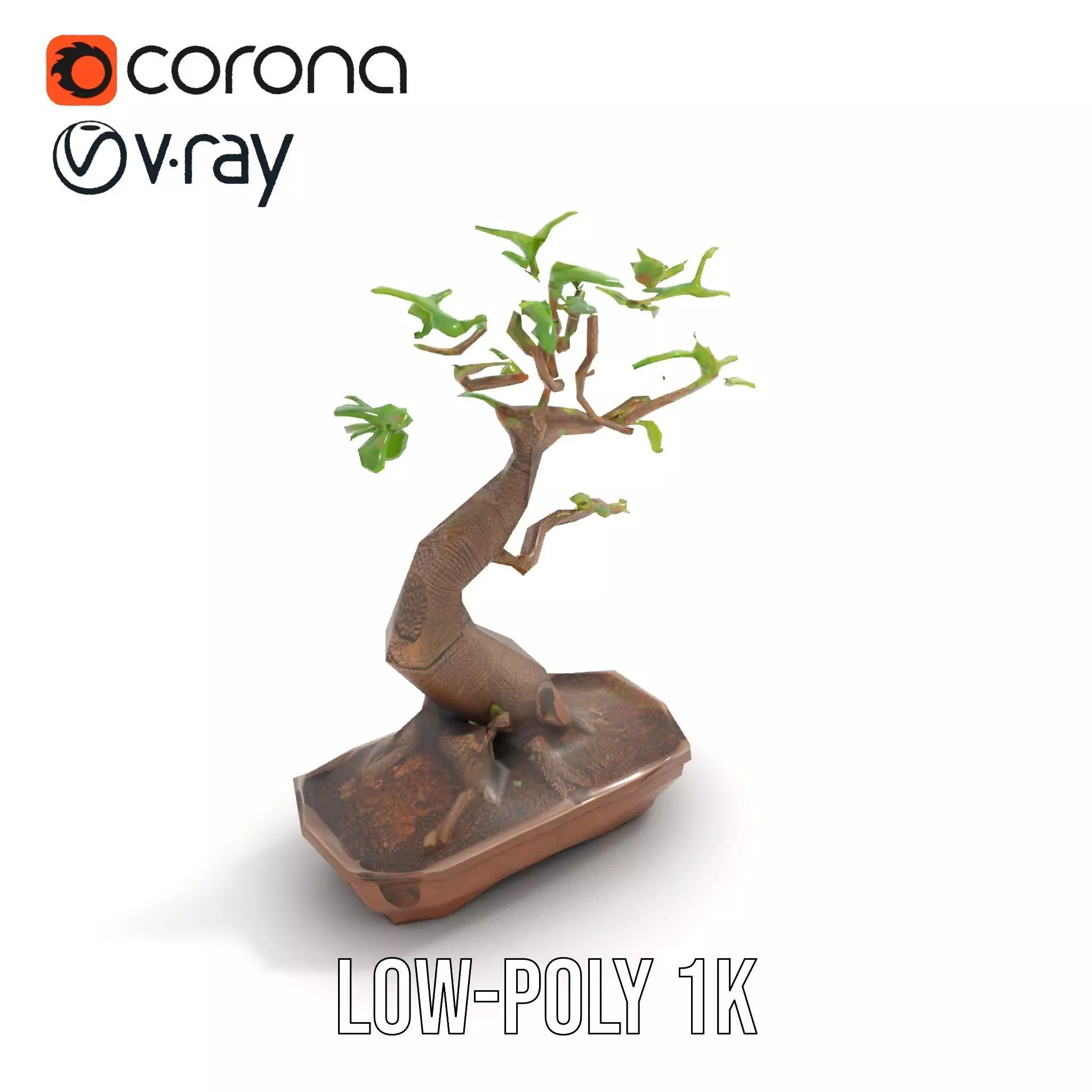 Curved Bonsai Tree model pack Low-poly 3D model_12