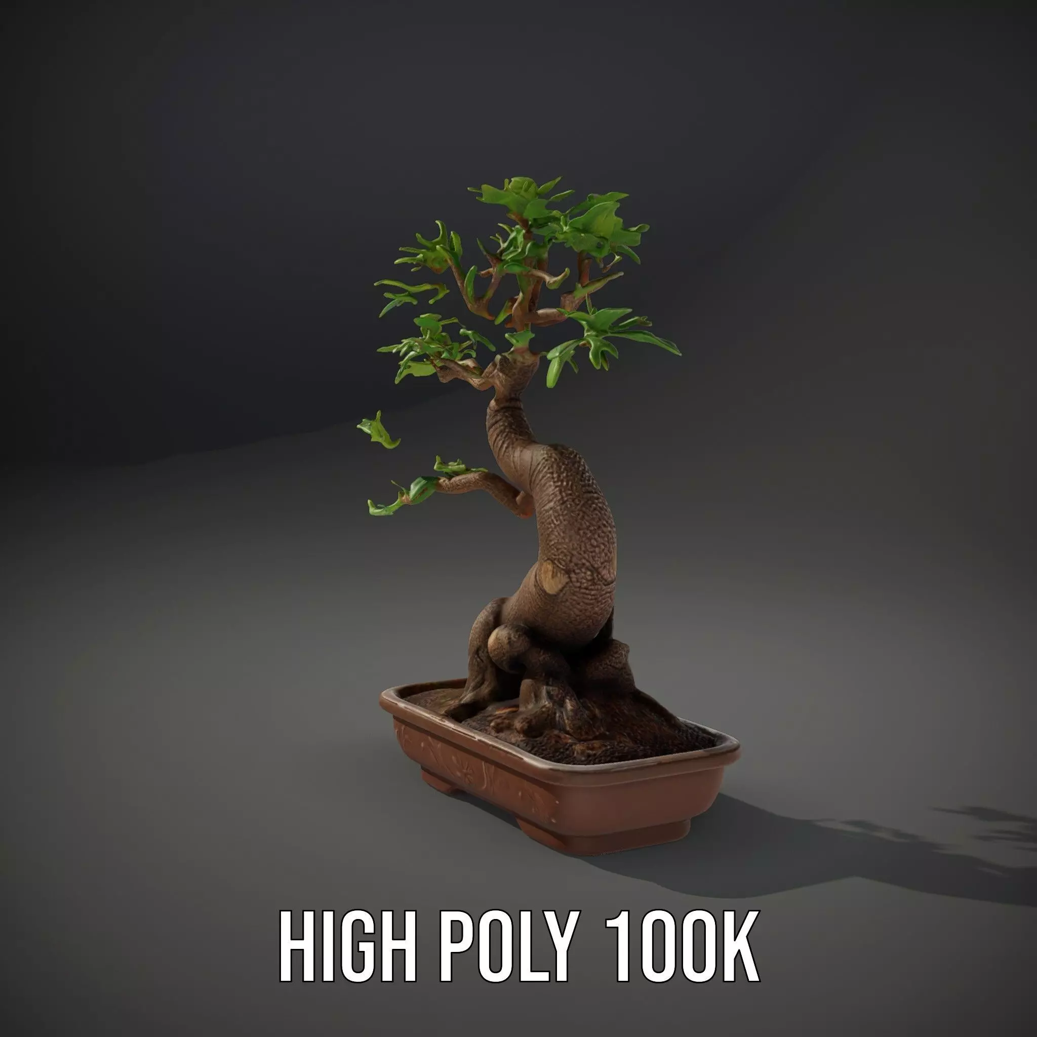 Elegant Bonsai Tree model pack Low-poly 3D model_10