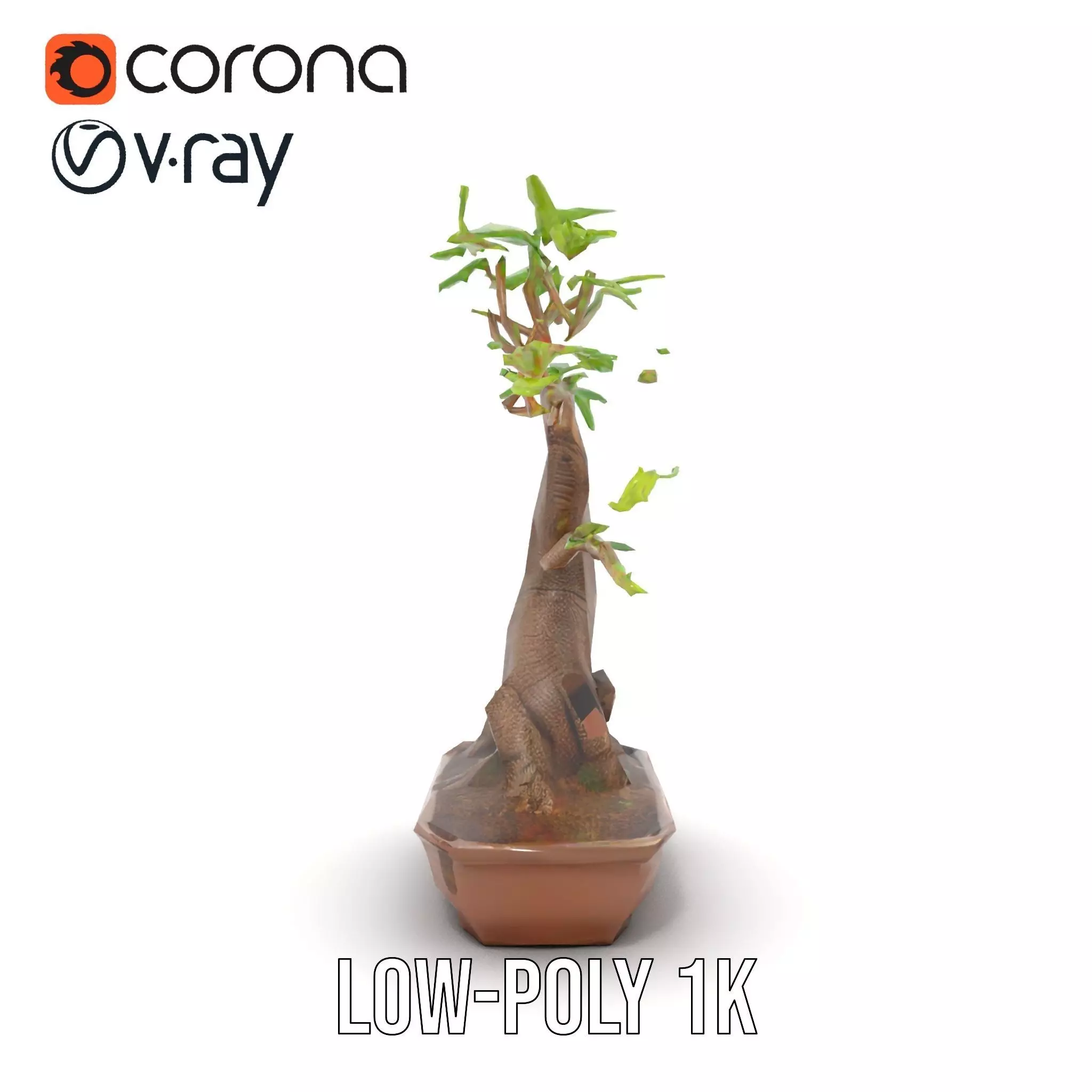 Elegant Bonsai Tree model pack Low-poly 3D model_30