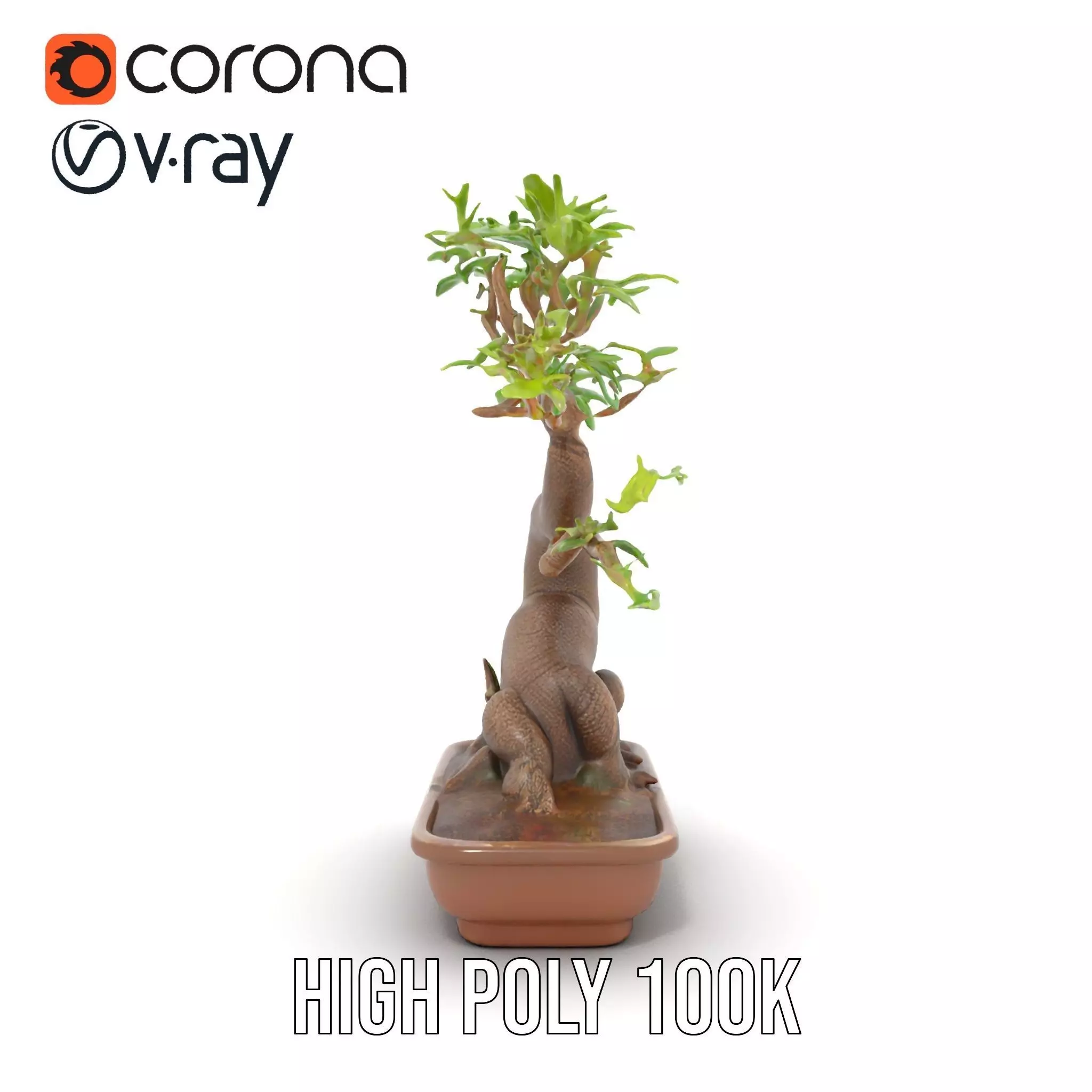 Elegant Bonsai Tree model pack Low-poly 3D model_33