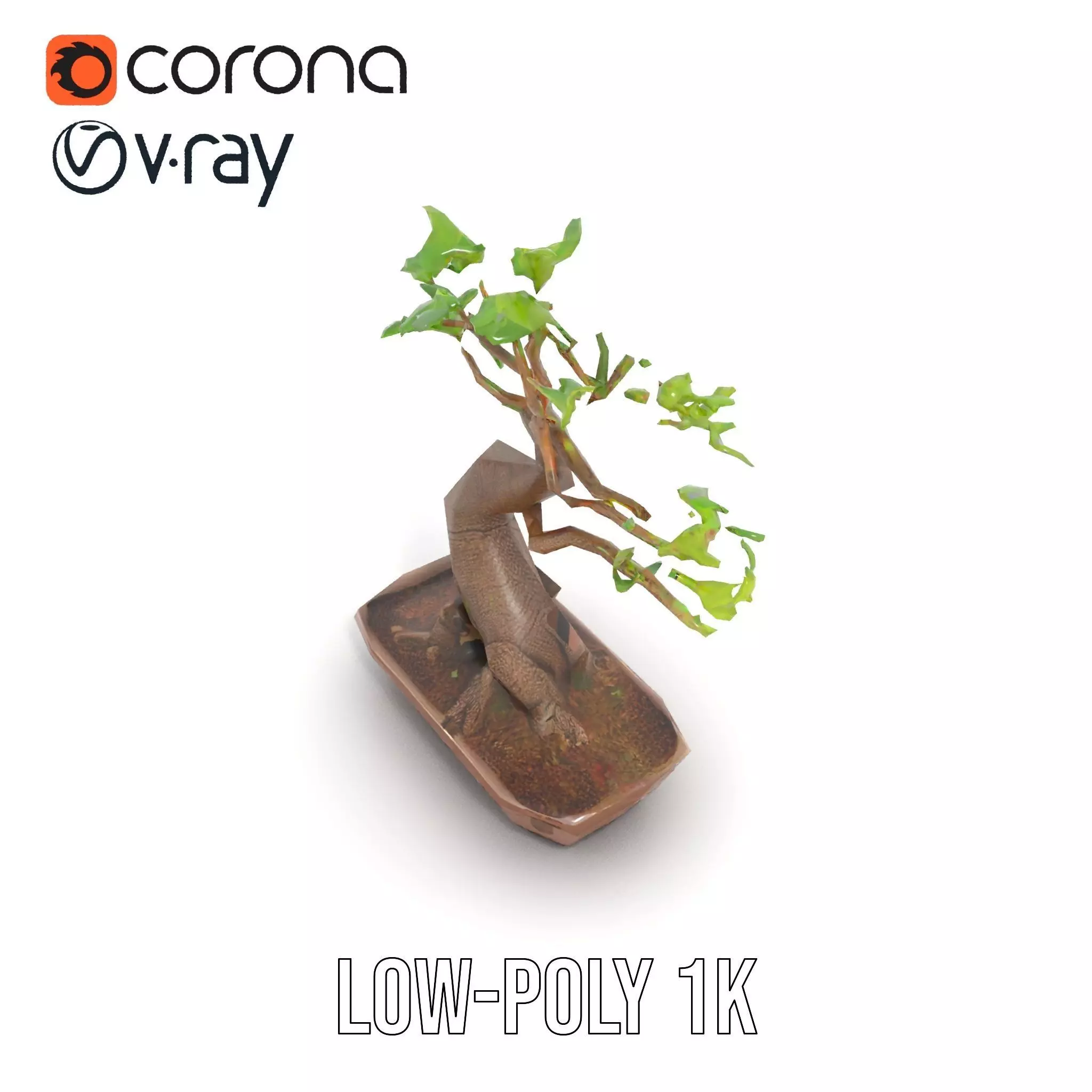 Elegant Bonsai Tree model pack Low-poly 3D model_12