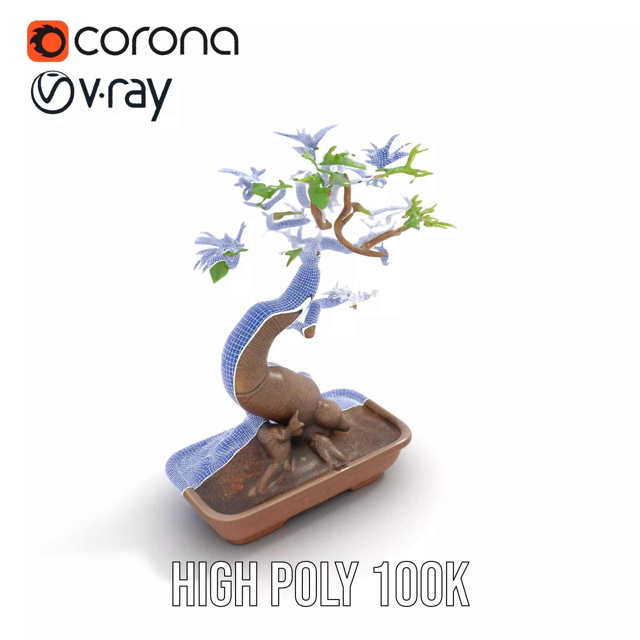 Elegant Bonsai Tree model pack Low-poly 3D model_28