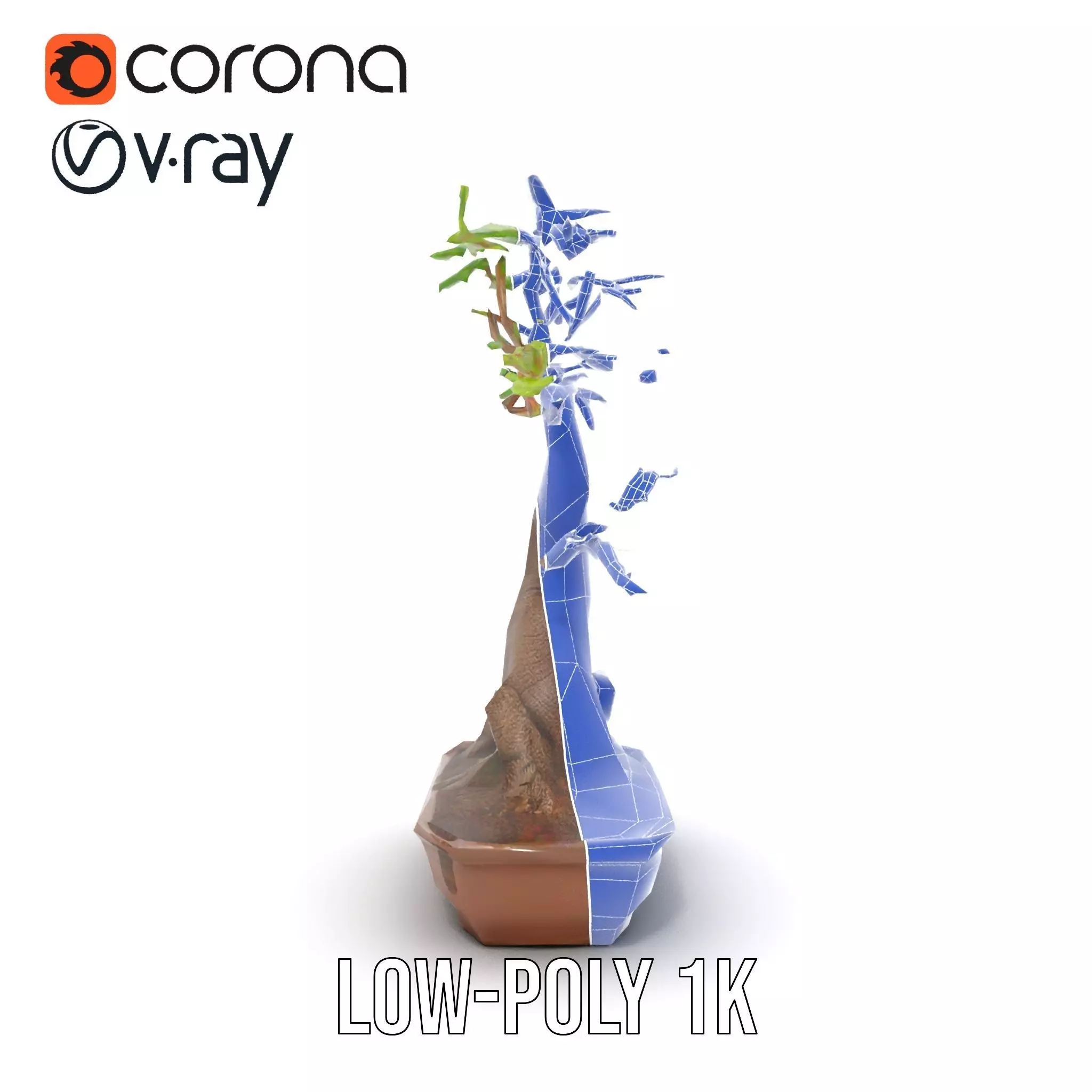 Elegant Bonsai Tree model pack Low-poly 3D model_27
