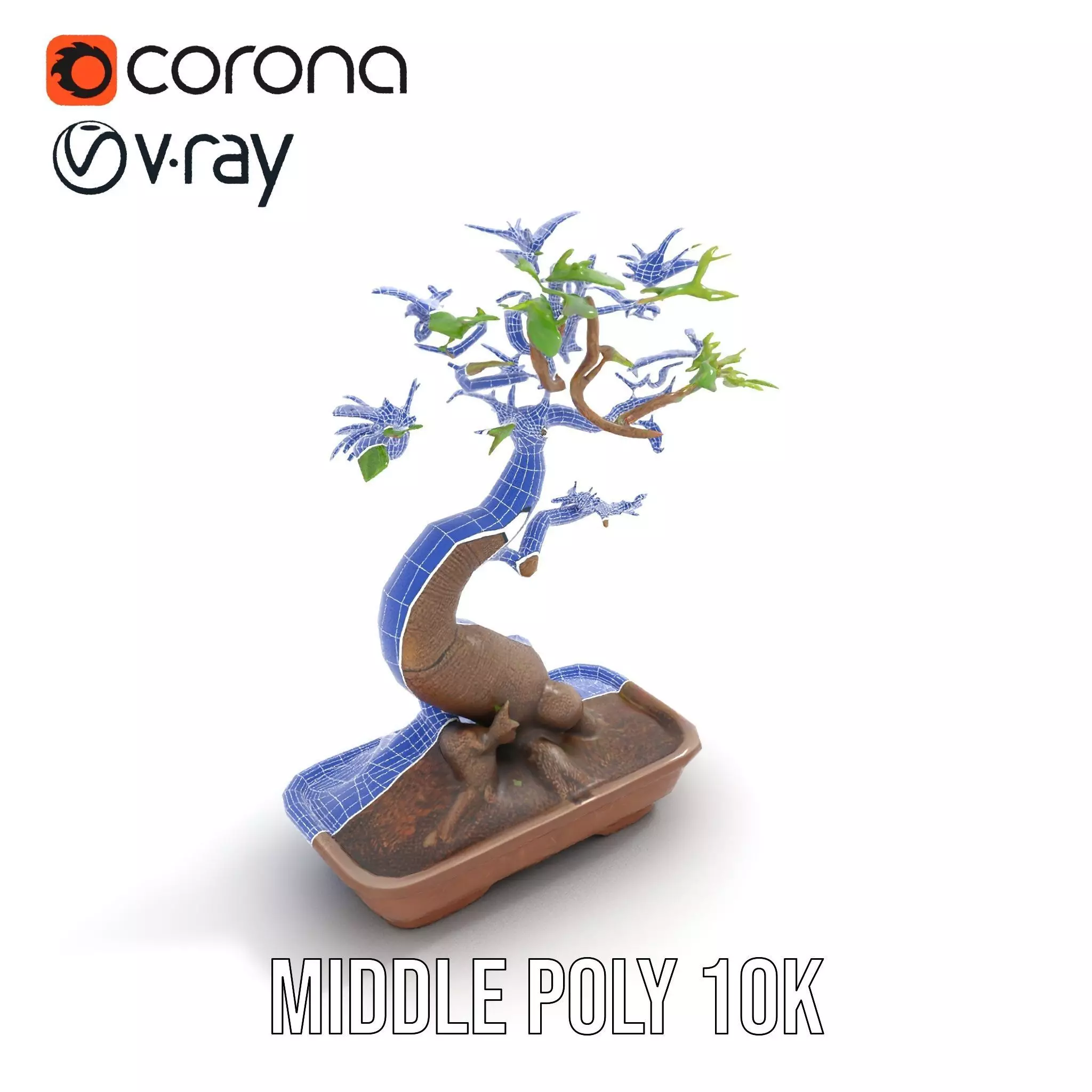 Elegant Bonsai Tree model pack Low-poly 3D model_29