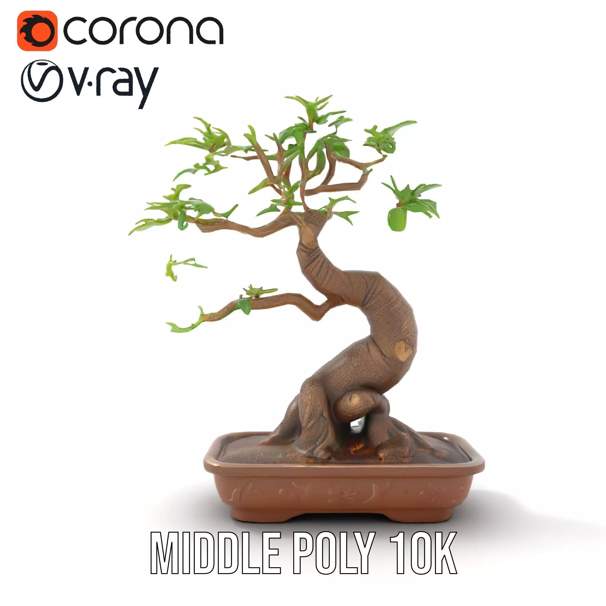 Elegant Bonsai Tree model pack Low-poly 3D model_13