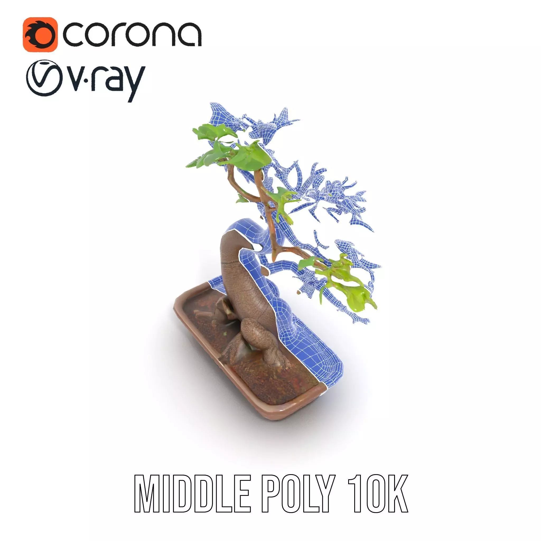 Elegant Bonsai Tree model pack Low-poly 3D model_18