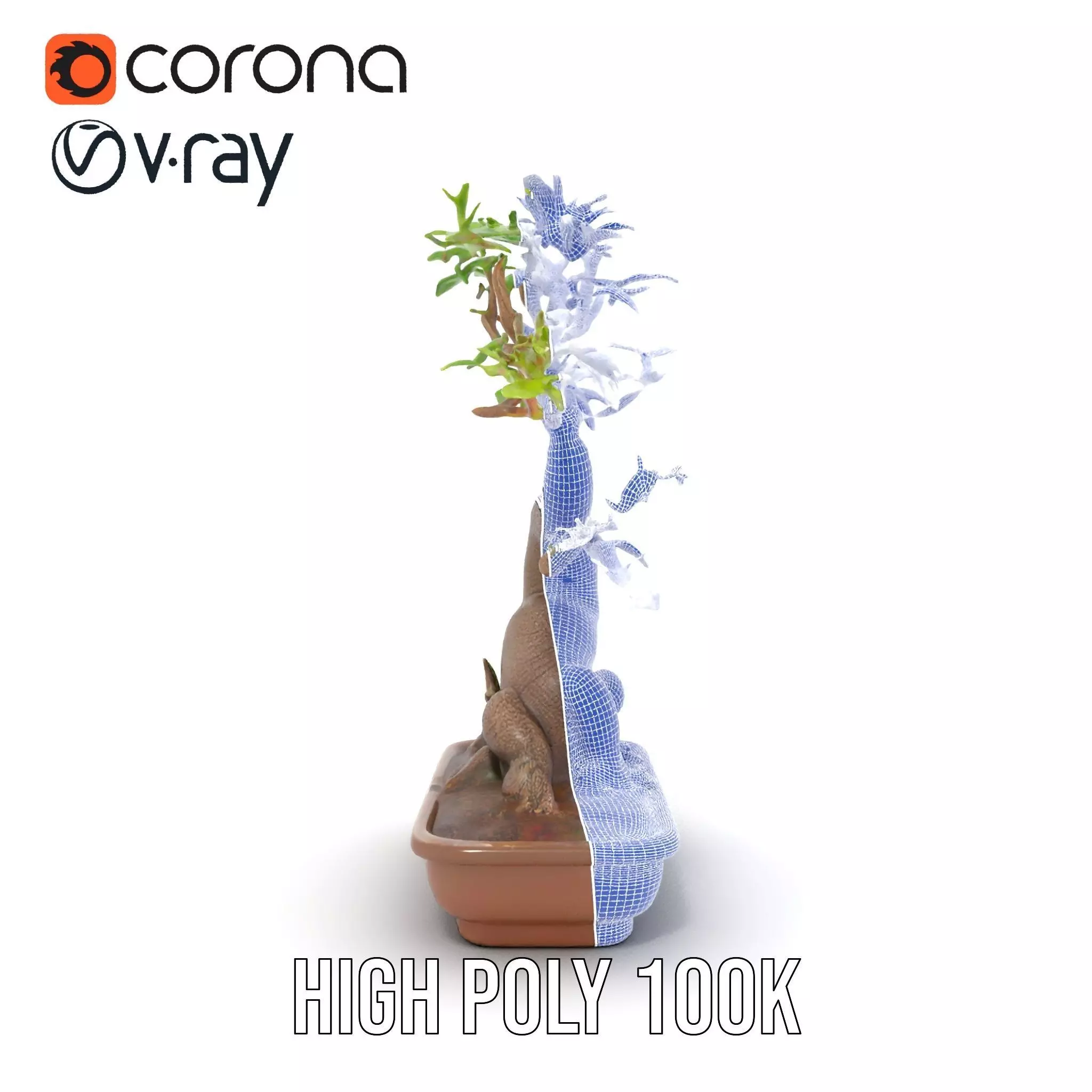 Elegant Bonsai Tree model pack Low-poly 3D model_31