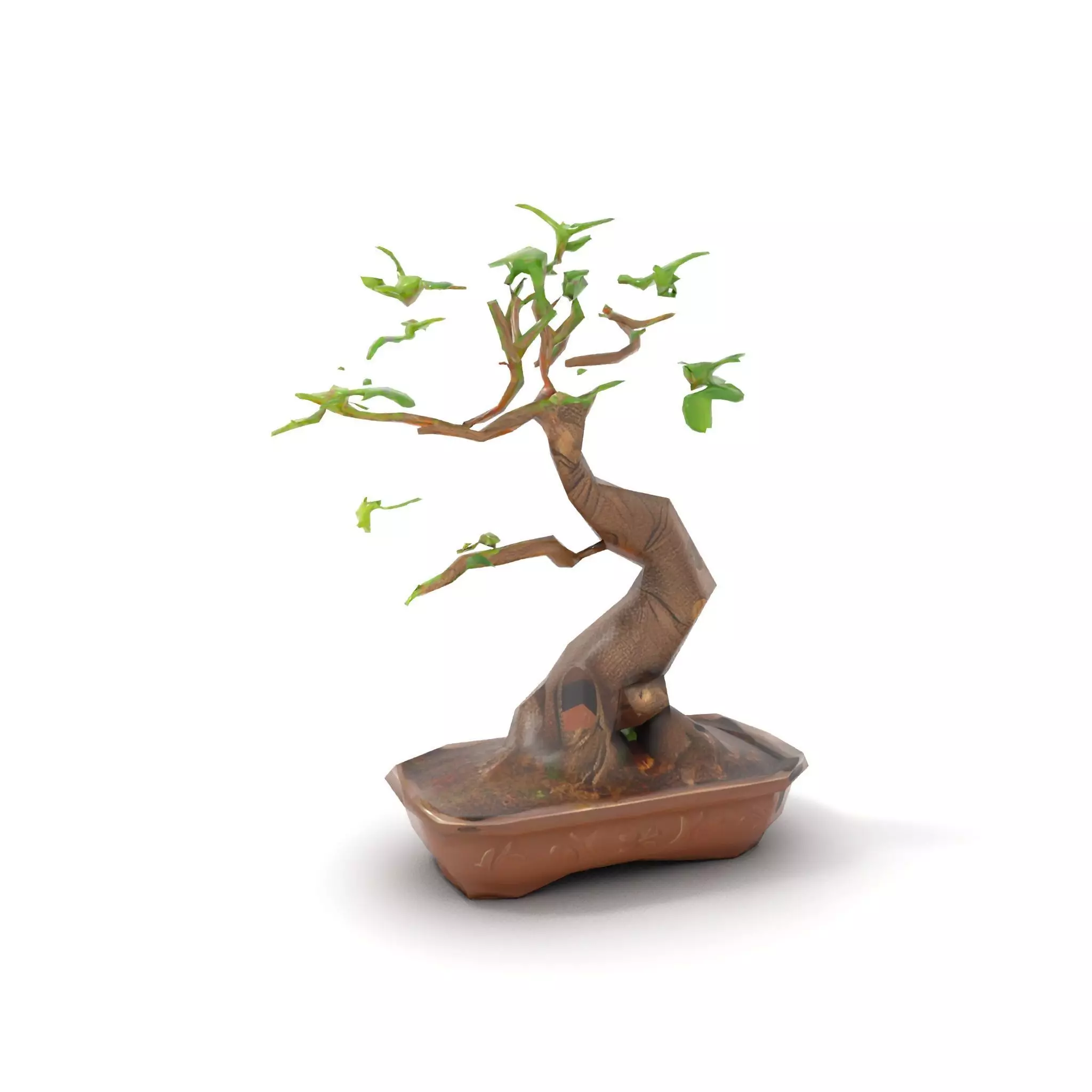 Elegant Bonsai Tree model pack Low-poly 3D model_9