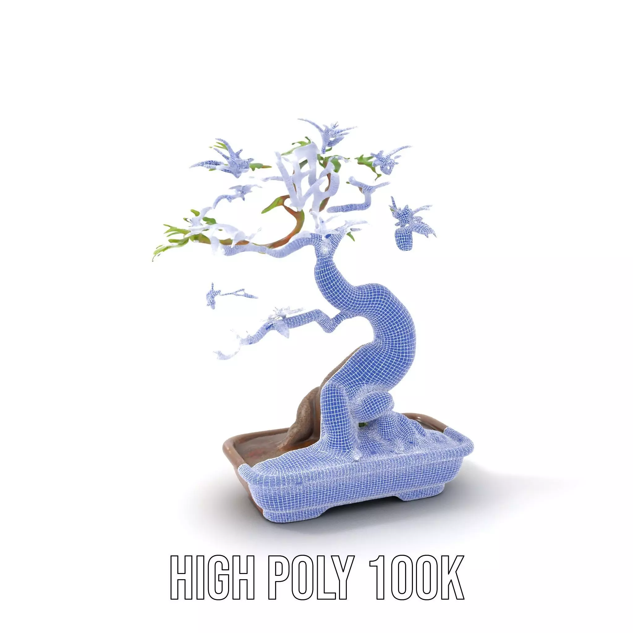 Elegant Bonsai Tree model pack Low-poly 3D model_4