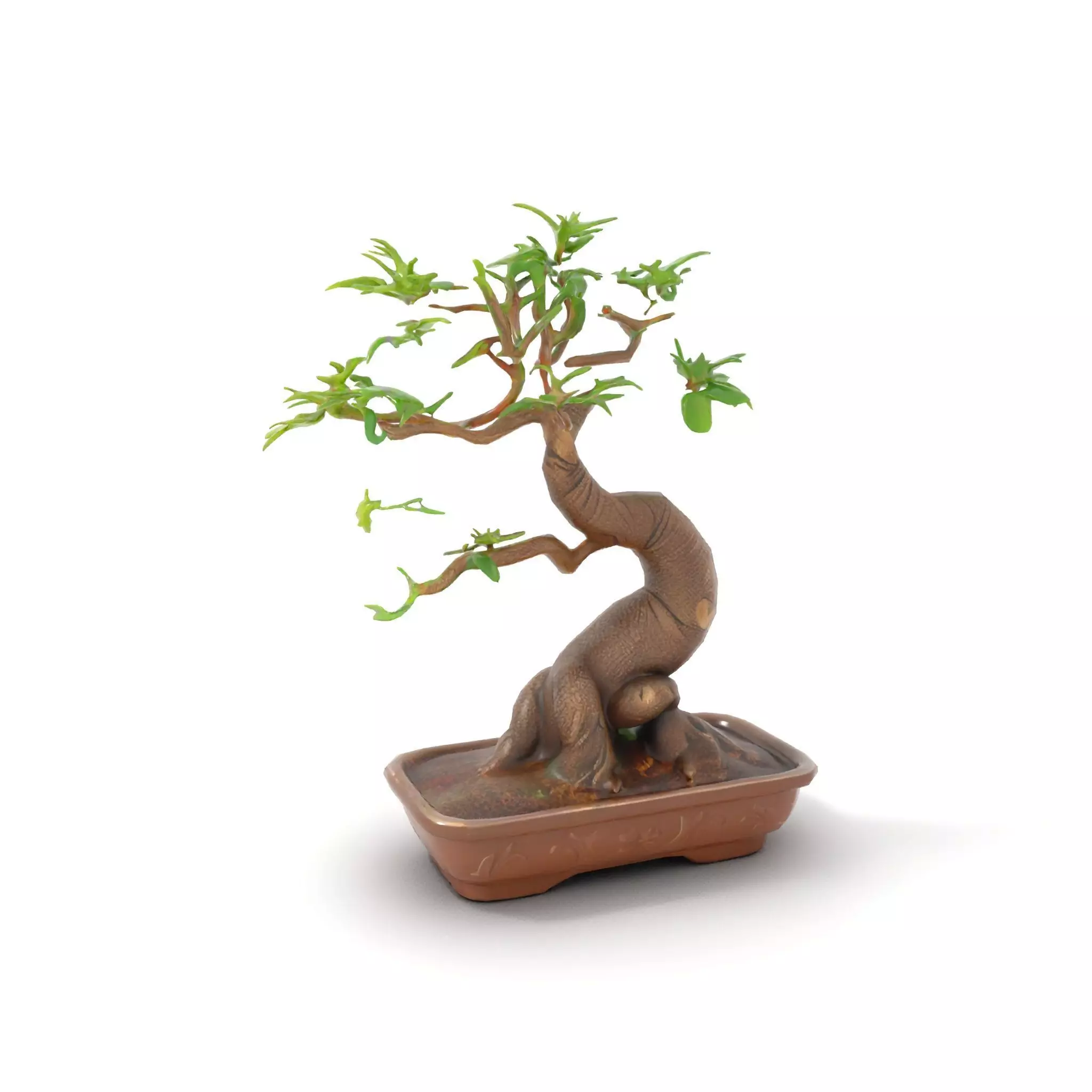 Elegant Bonsai Tree model pack Low-poly 3D model_5