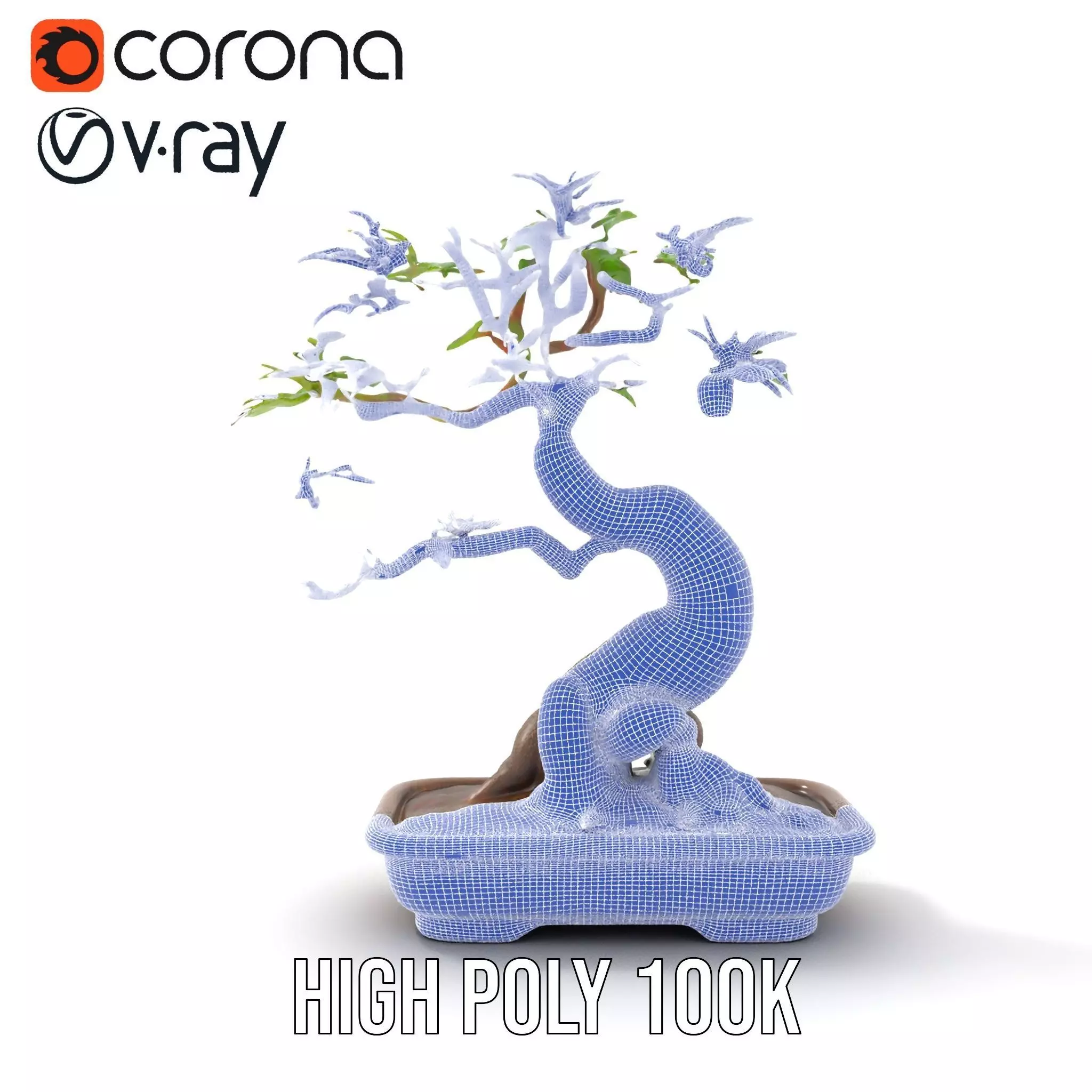 Elegant Bonsai Tree model pack Low-poly 3D model_34