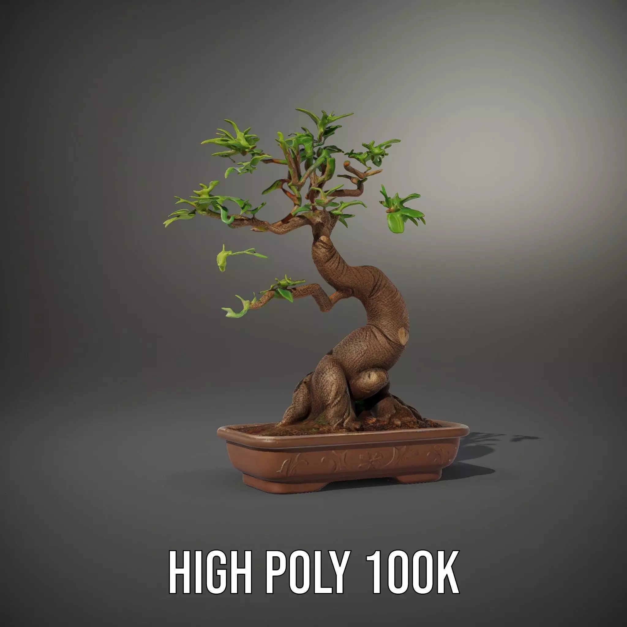 Elegant Bonsai Tree model pack Low-poly 3D model_8
