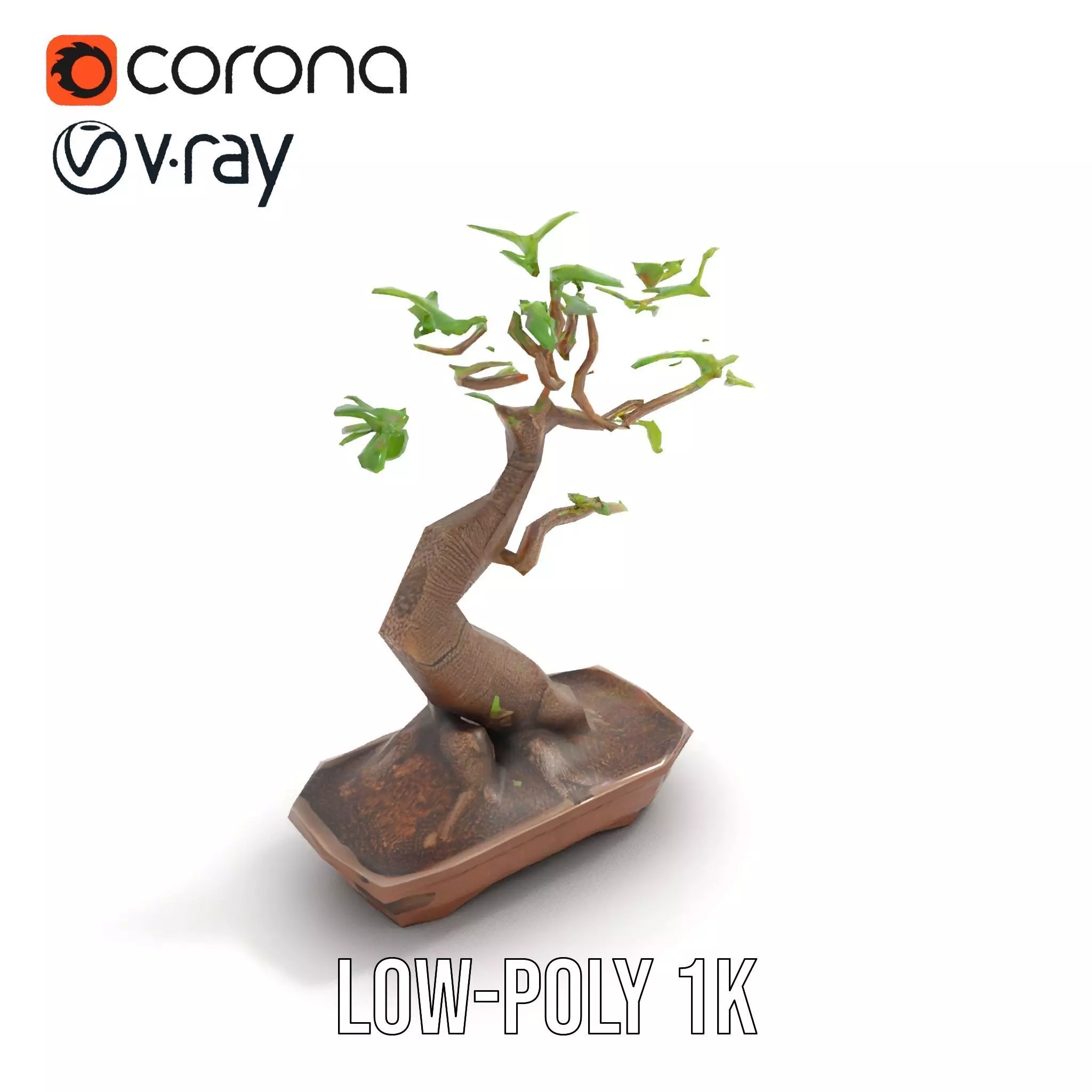 Elegant Bonsai Tree model pack Low-poly 3D model_7