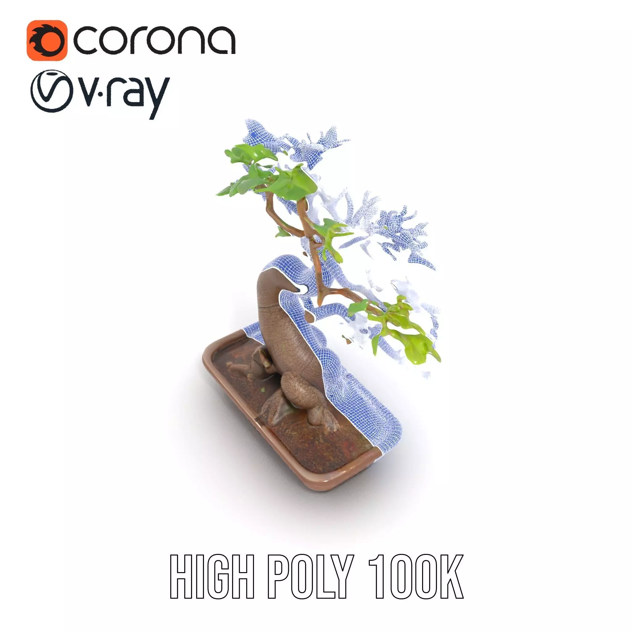 Elegant Bonsai Tree model pack Low-poly 3D model_32