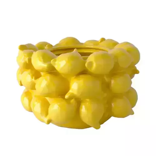 Ceramic Lemon Planter 3D model