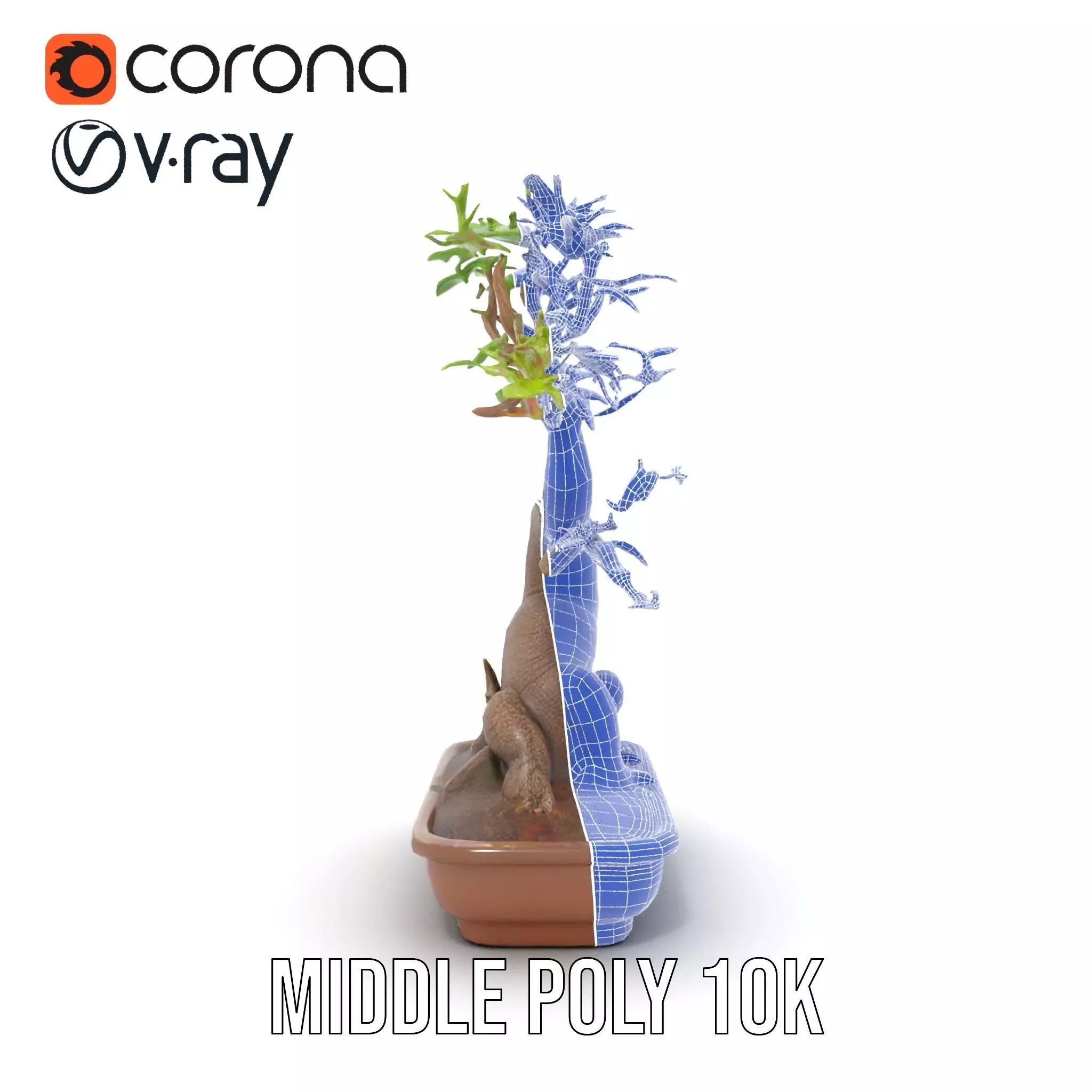 Curved Bonsai Tree model pack Low-poly 3D model_28