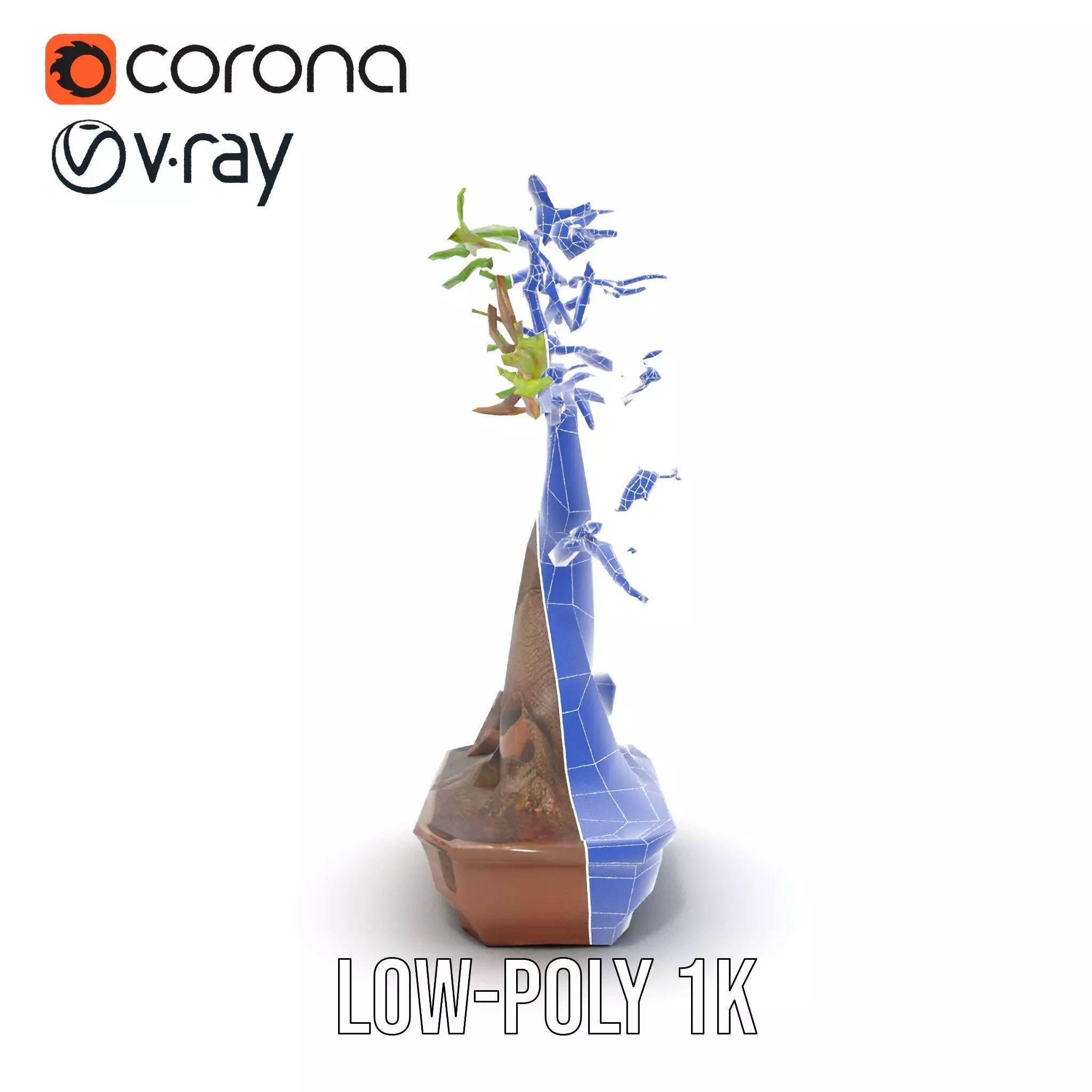 Curved Bonsai Tree model pack Low-poly 3D model_20