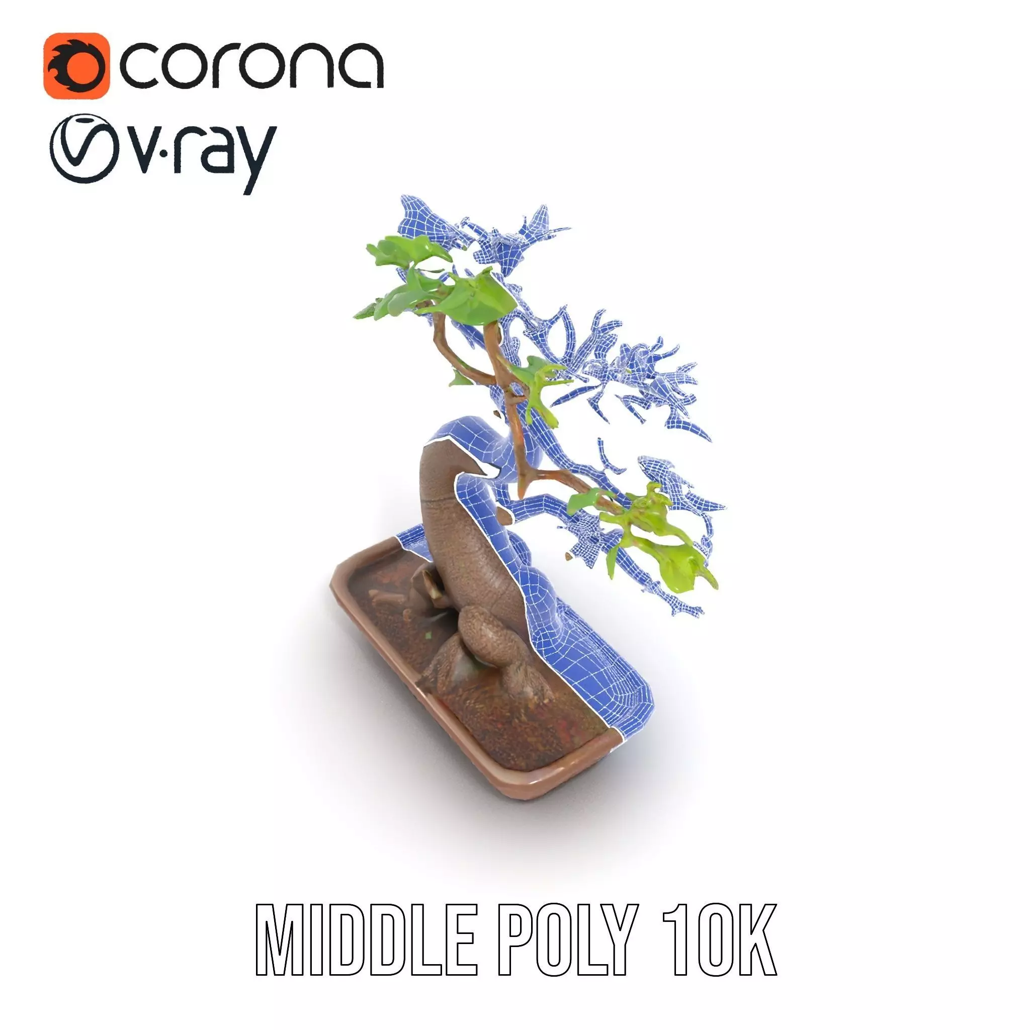 Curved Bonsai Tree model pack Low-poly 3D model_22