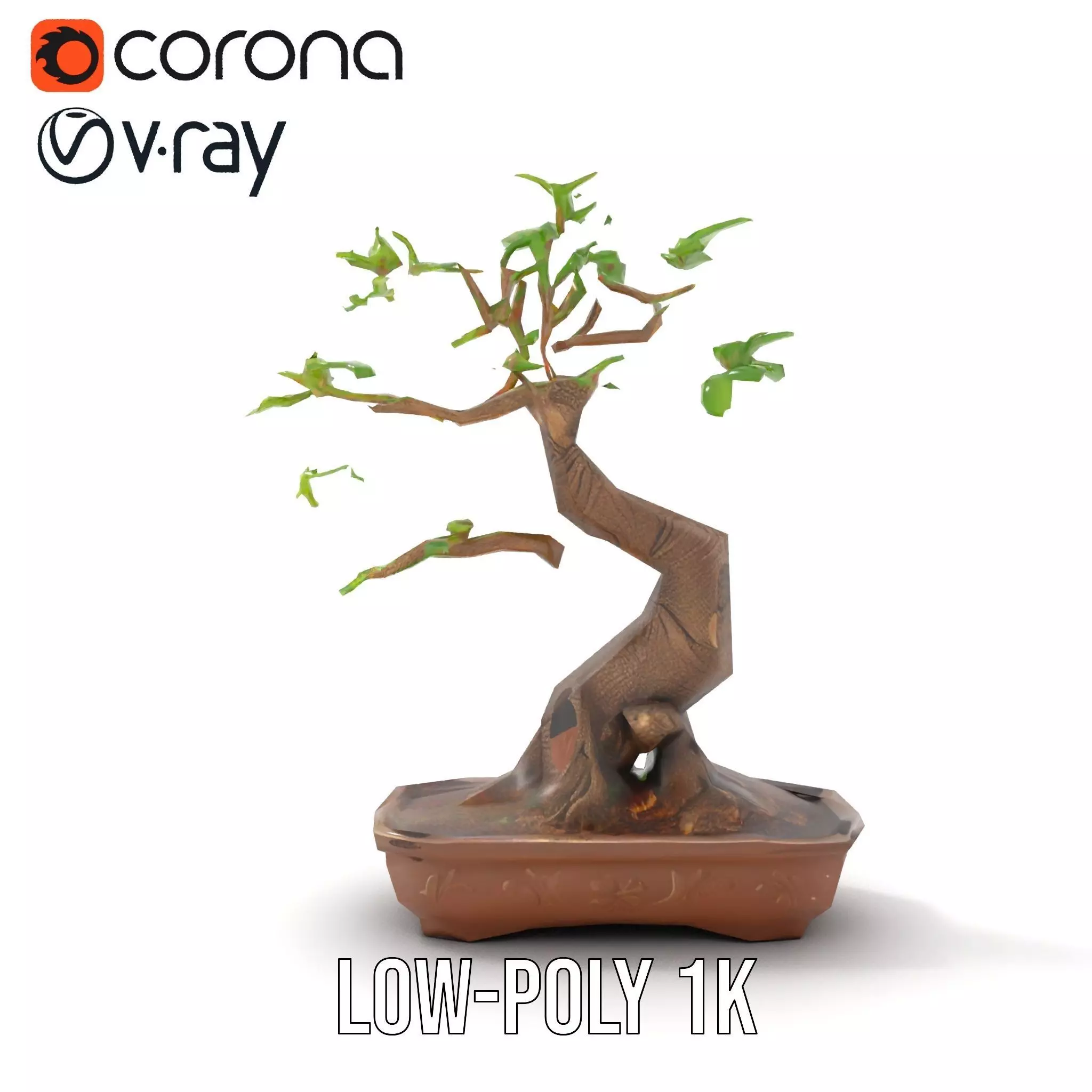 Curved Bonsai Tree model pack Low-poly 3D model_8