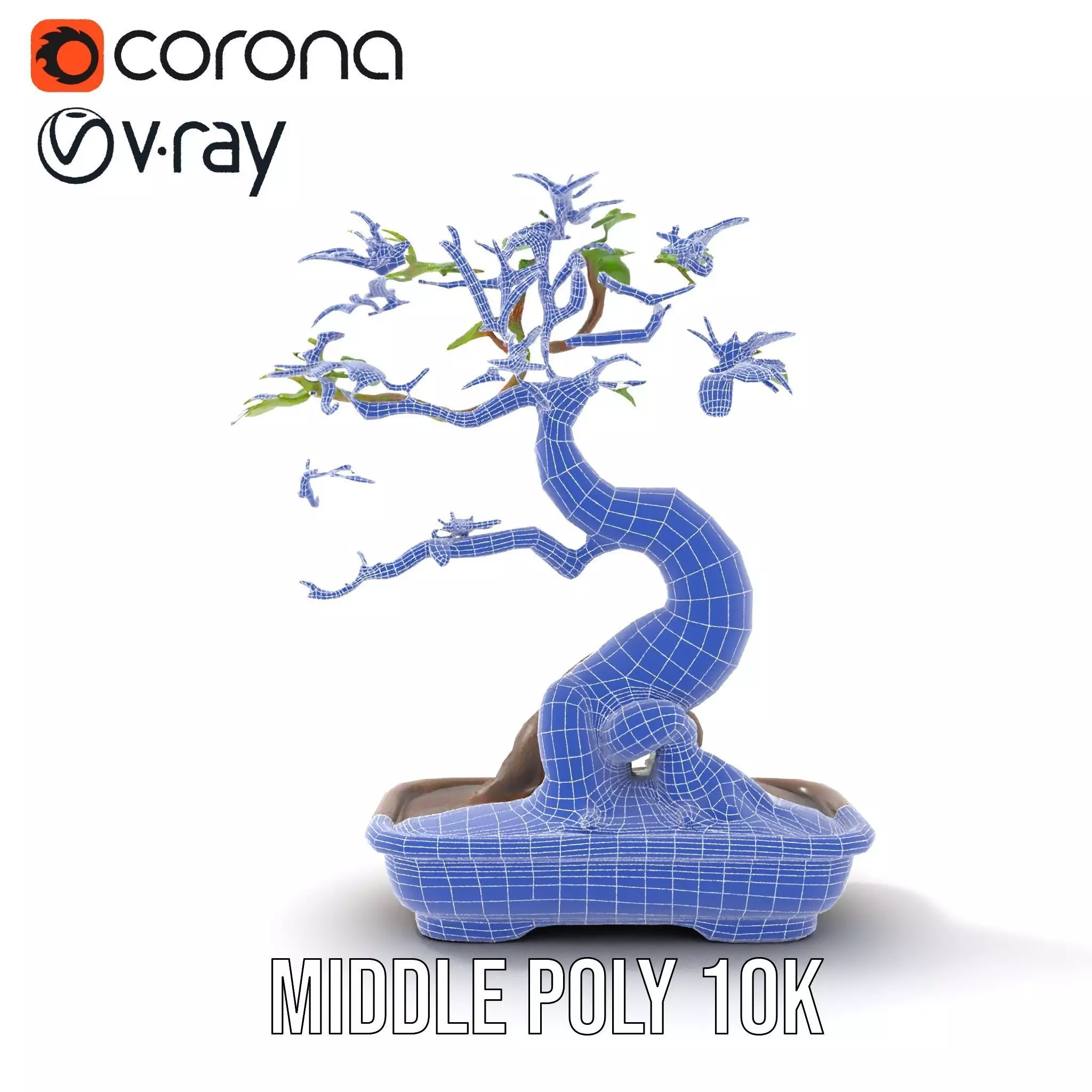 Curved Bonsai Tree model pack Low-poly 3D model_31