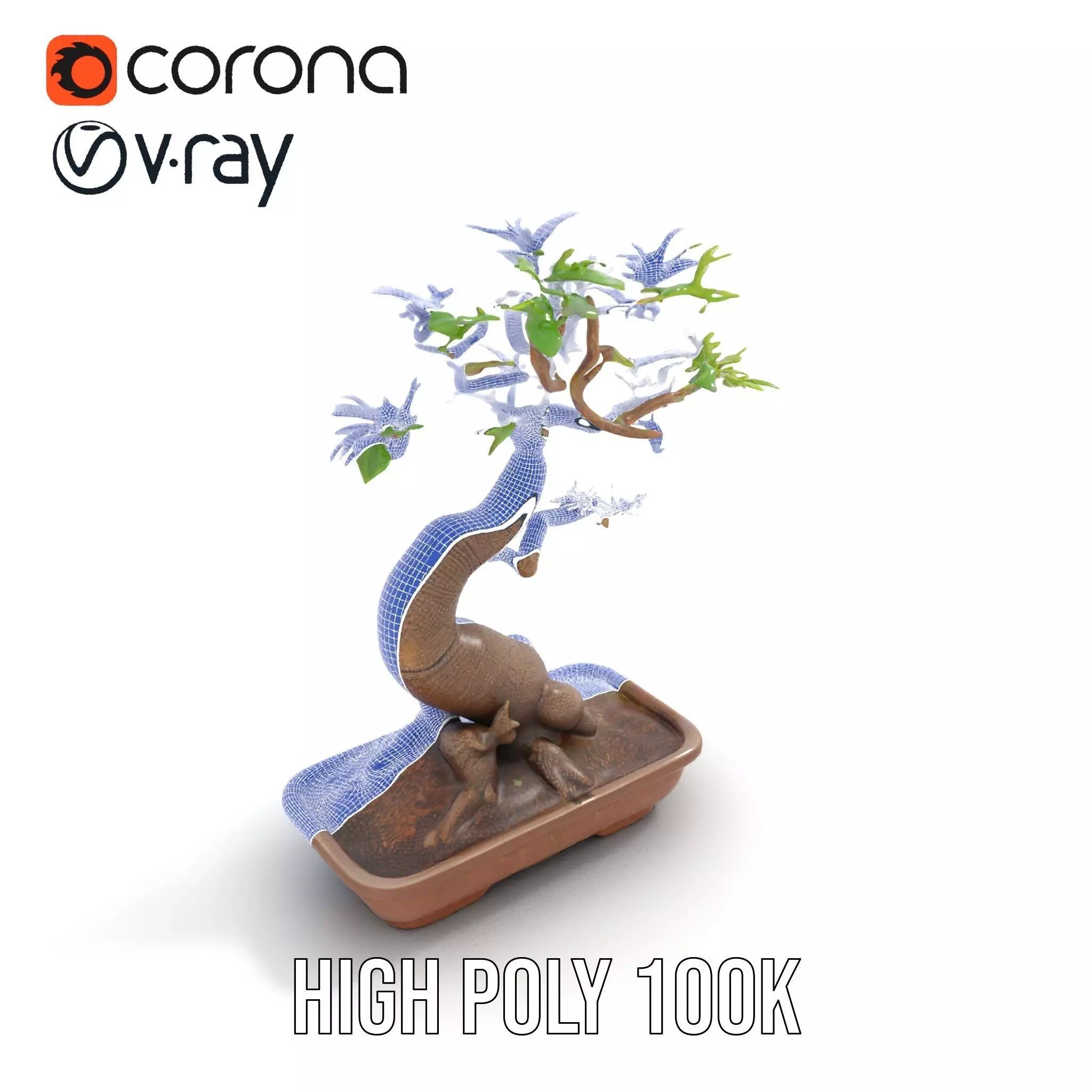 Curved Bonsai Tree model pack Low-poly 3D model_24