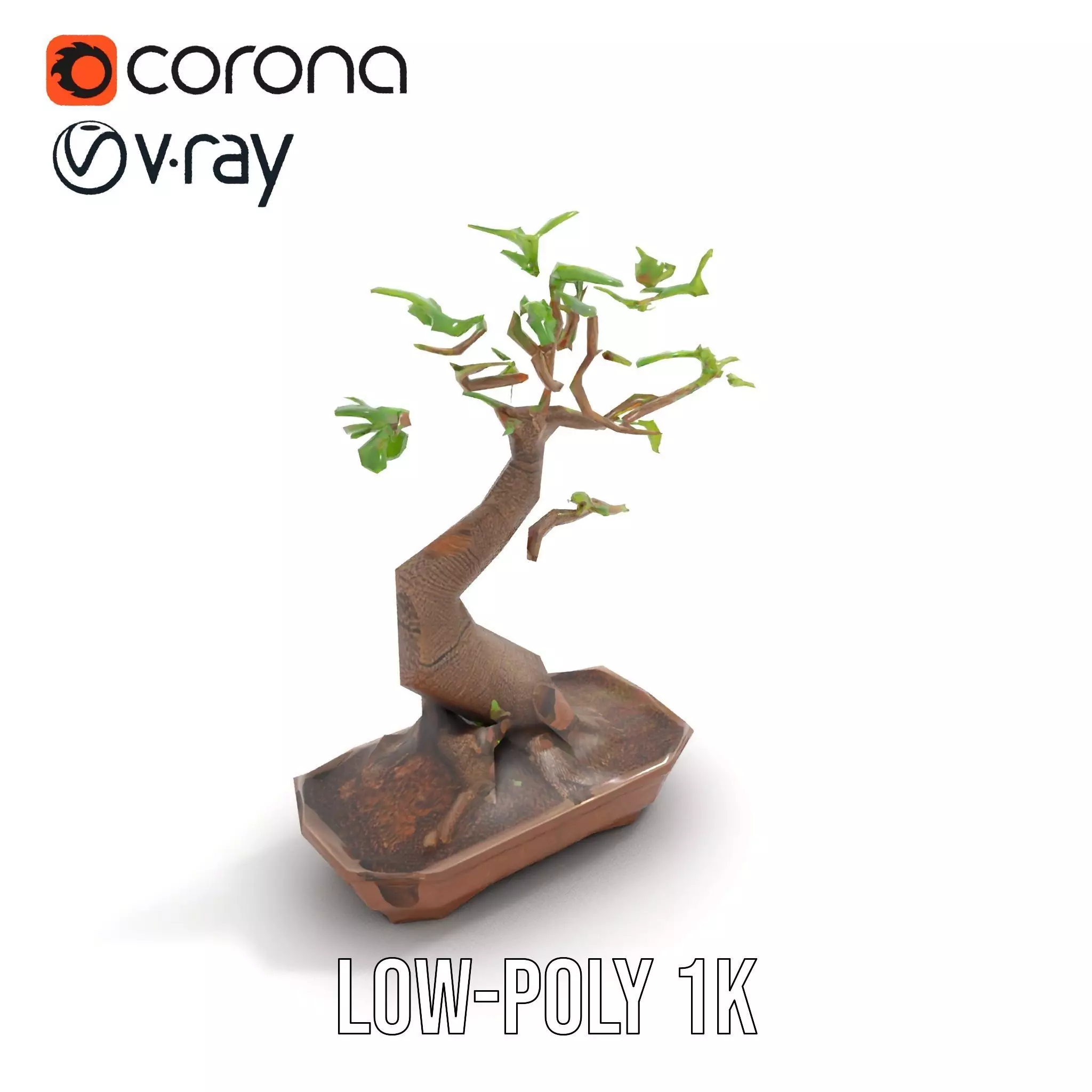 Curved Bonsai Tree model pack Low-poly 3D model_15