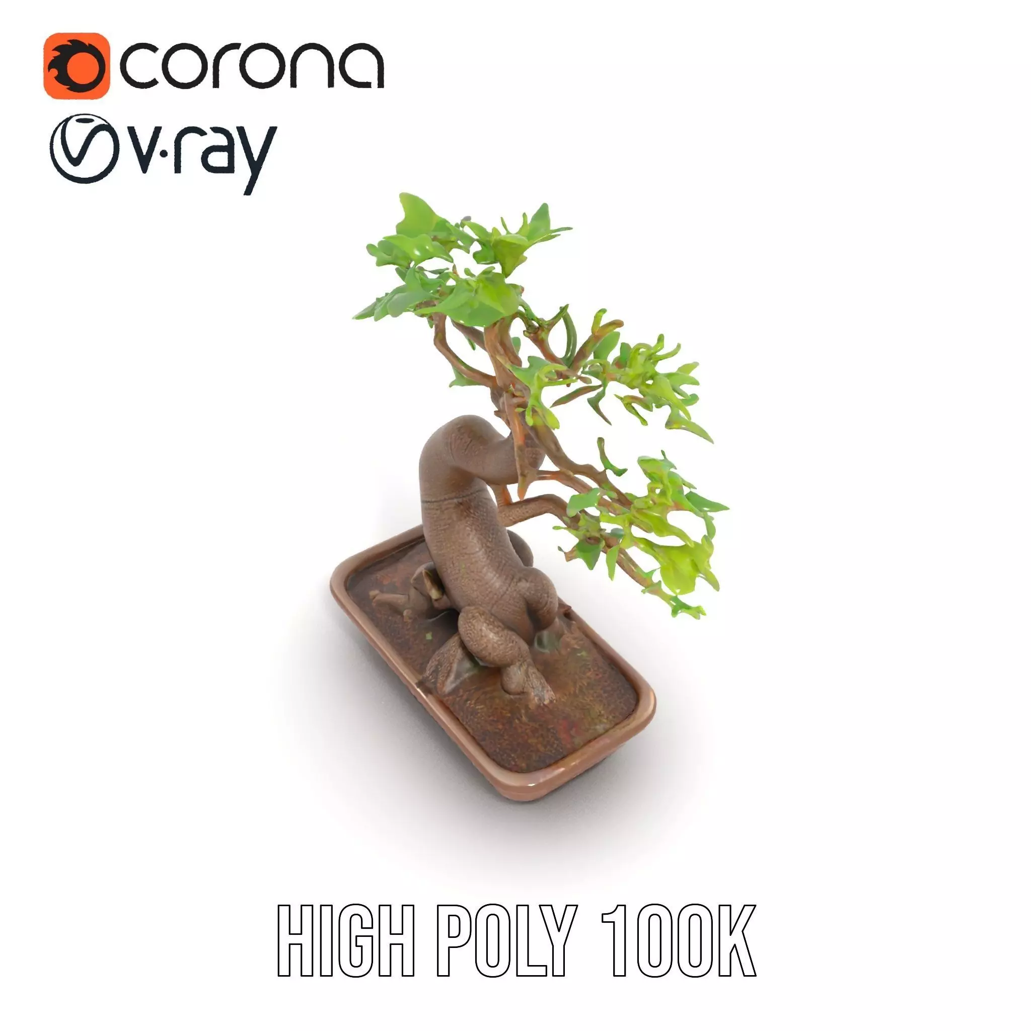 Curved Bonsai Tree model pack Low-poly 3D model_21