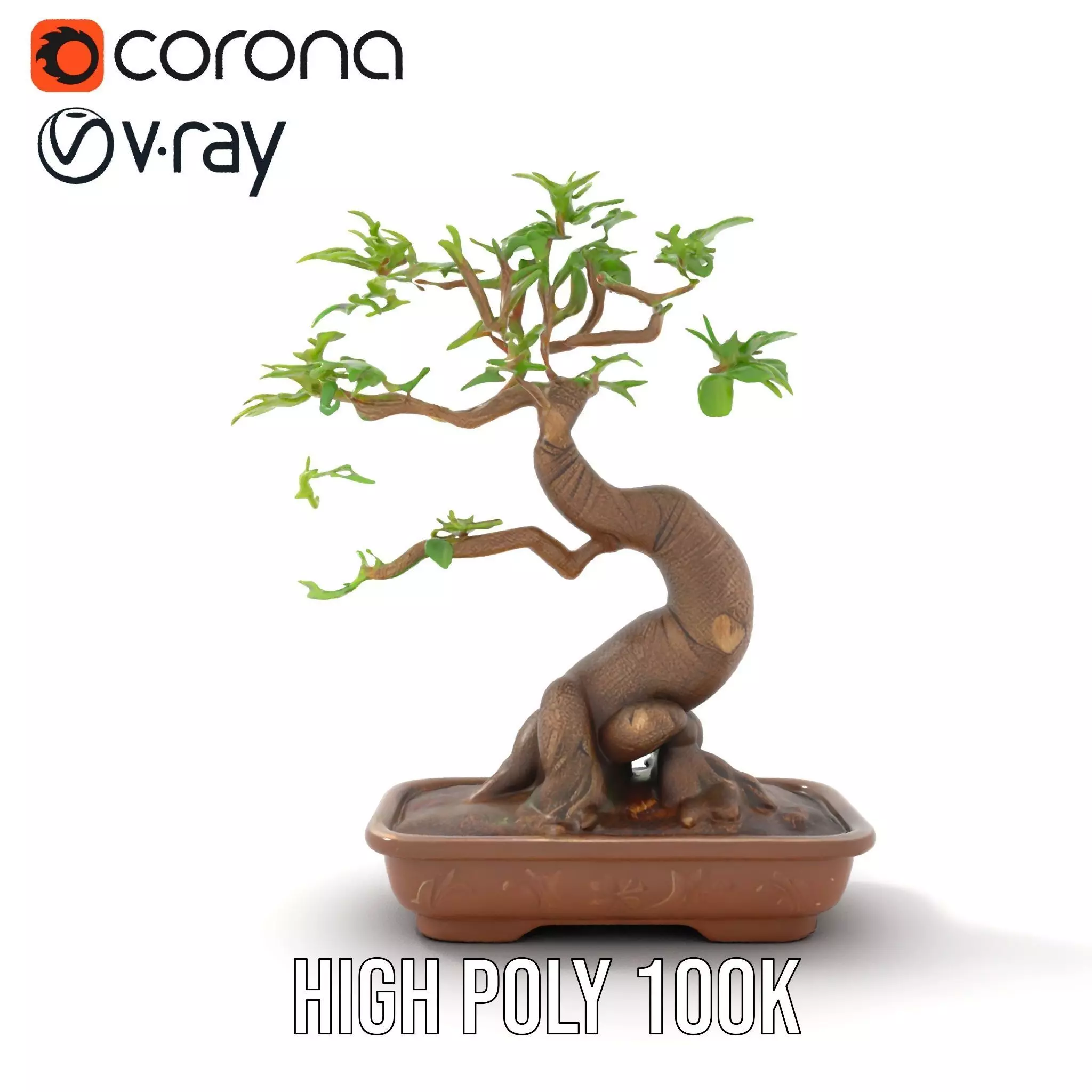 Curved Bonsai Tree model pack Low-poly 3D model_27