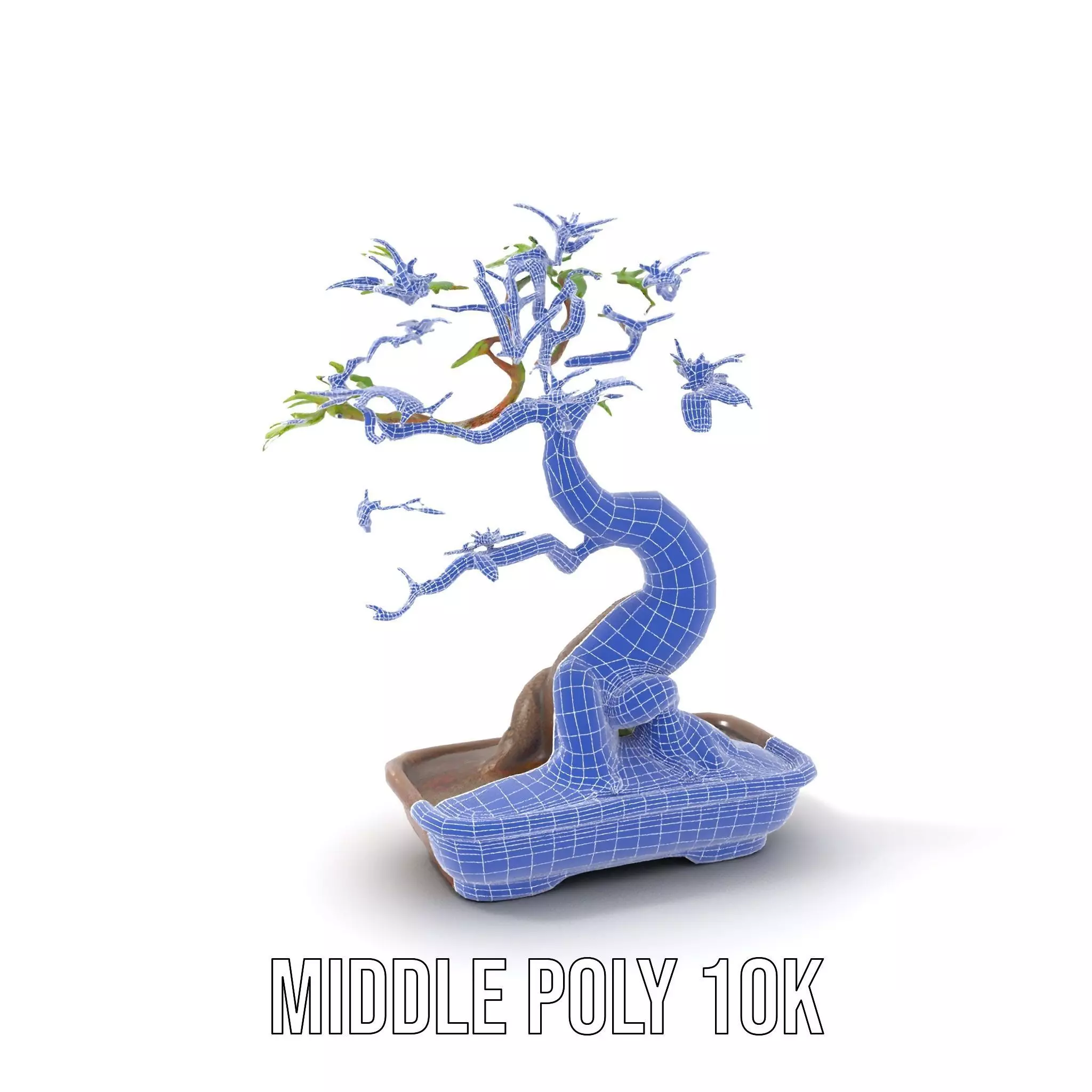 Curved Bonsai Tree model pack Low-poly 3D model_14