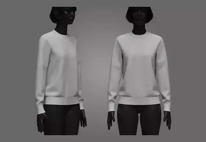 Womens Crewneck Sweatshirt