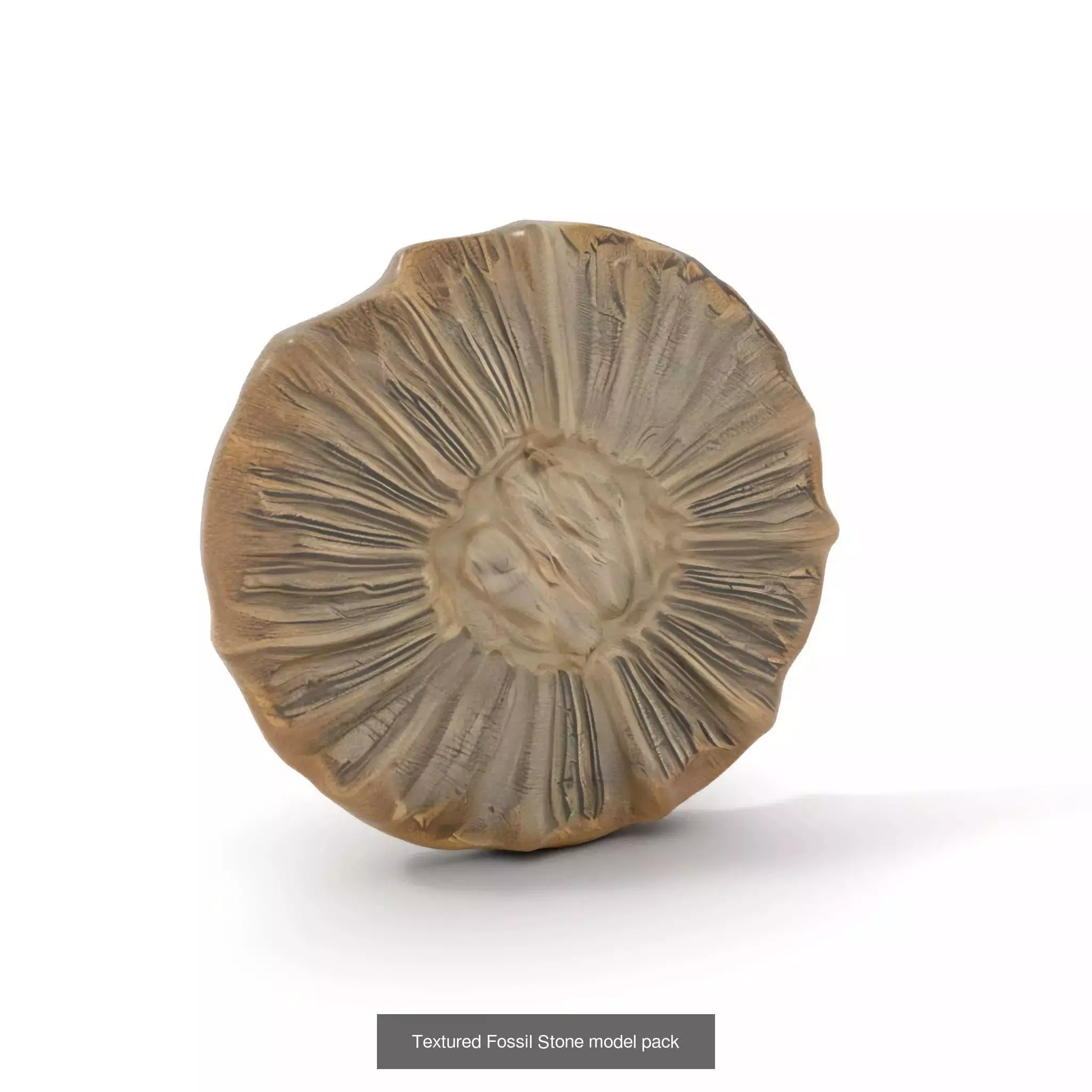 Artisan Models Collection _33