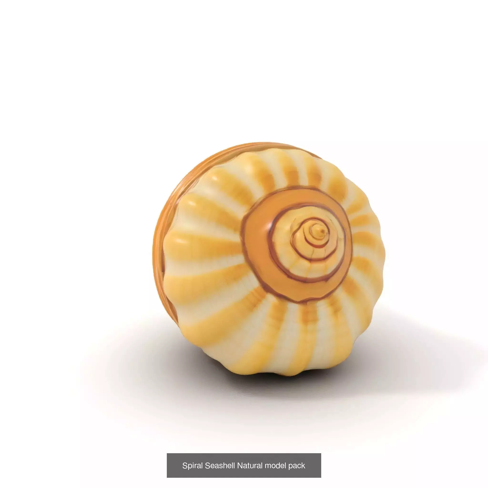 Artisan Models Collection _35