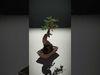 Artisan Models Collection _21