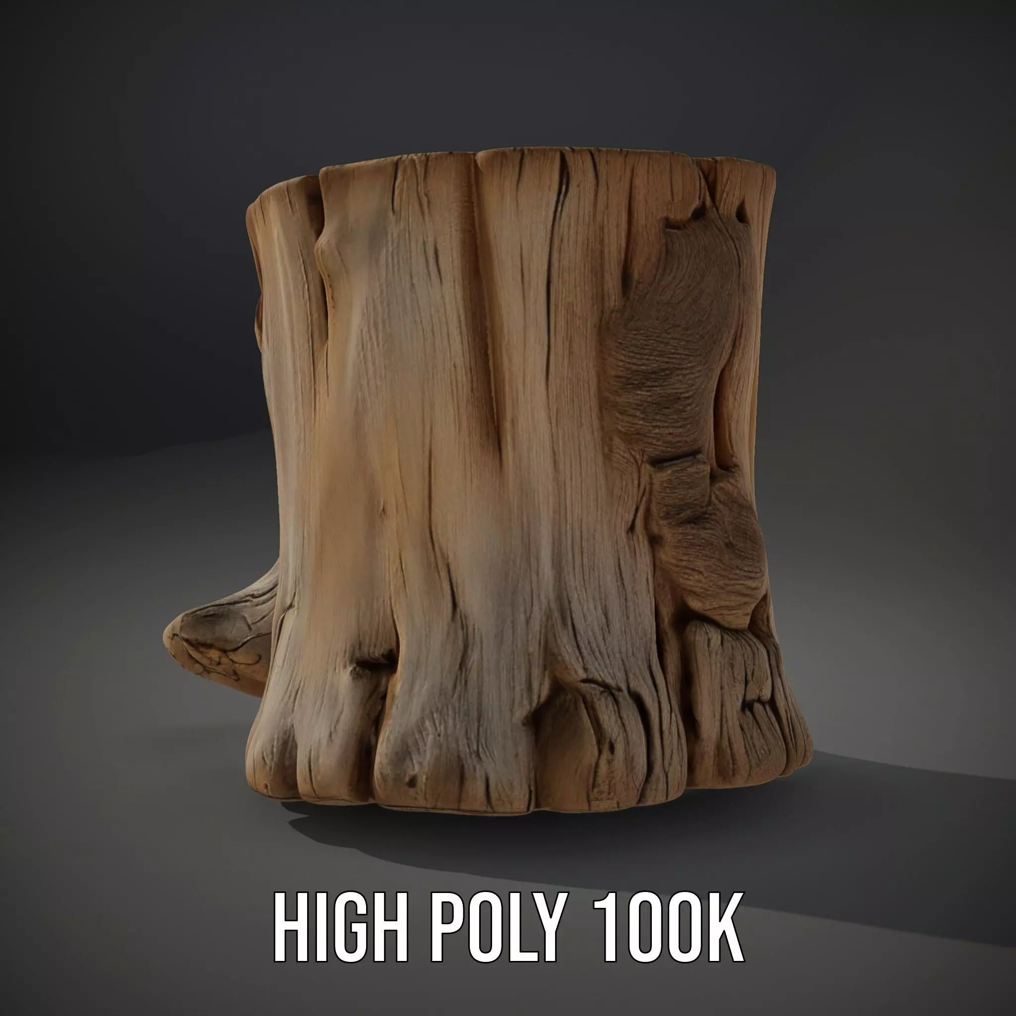 Rustic Wood Stump model pack Low-poly 3D model_11