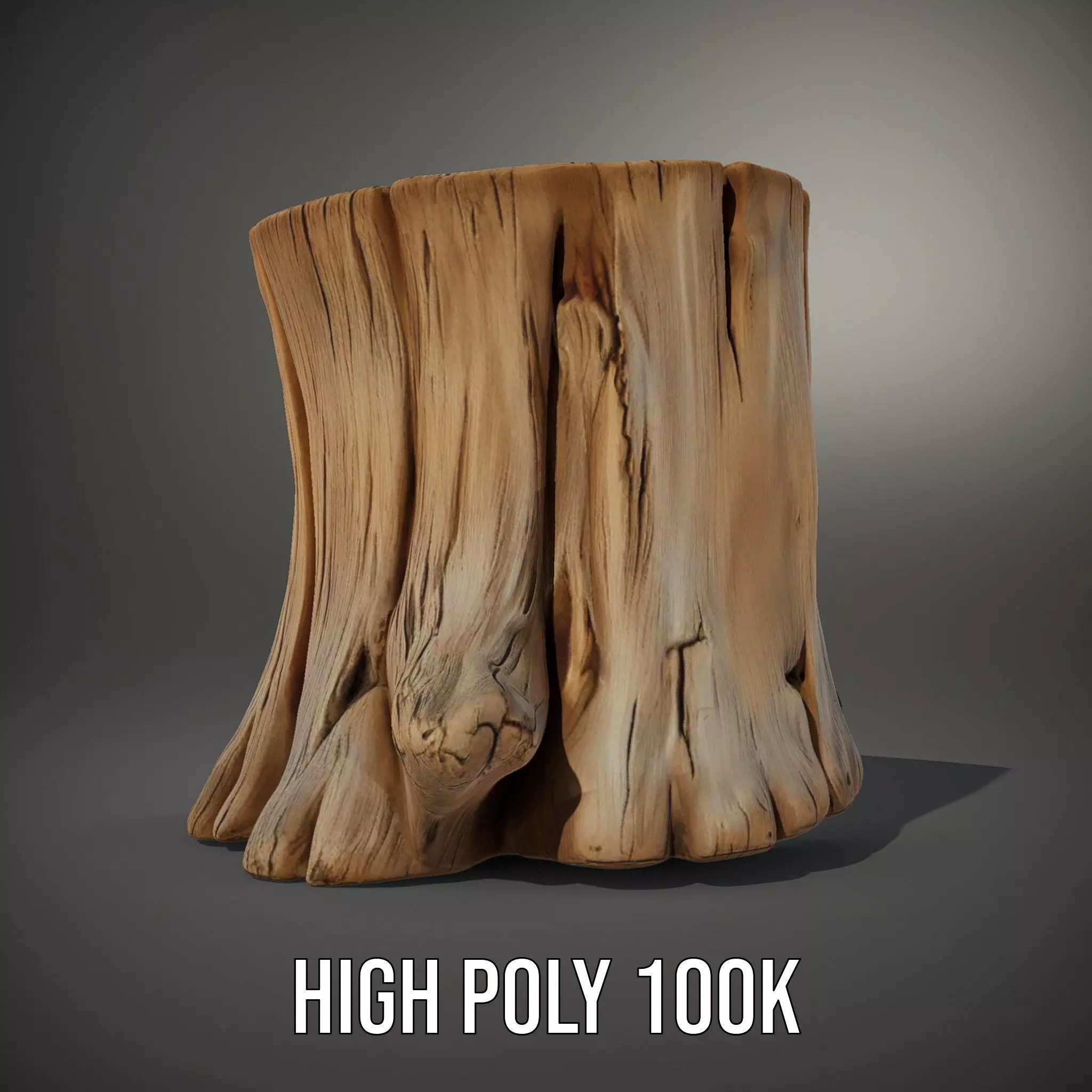 Rustic Wood Stump model pack Low-poly 3D model_9