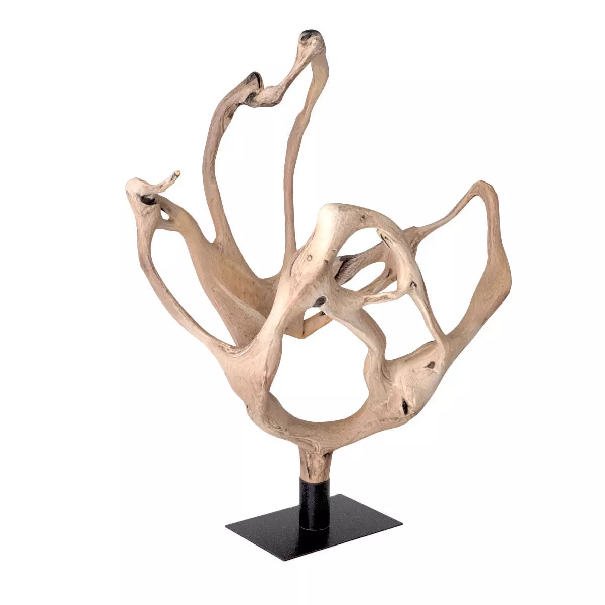 Large Natural Teak Root Wood Sculpture 3D model_2