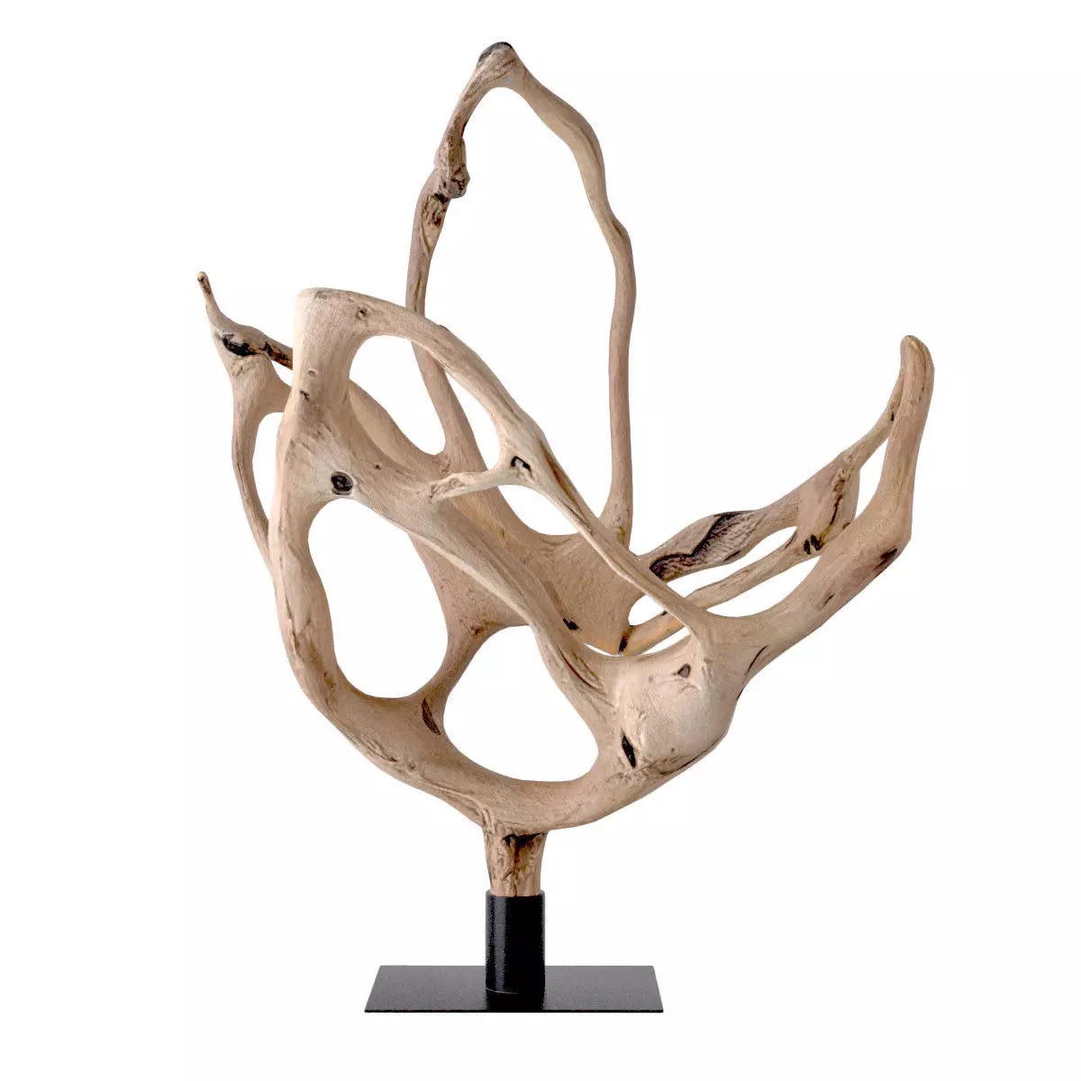 Large Natural Teak Root Wood Sculpture 3D model_0