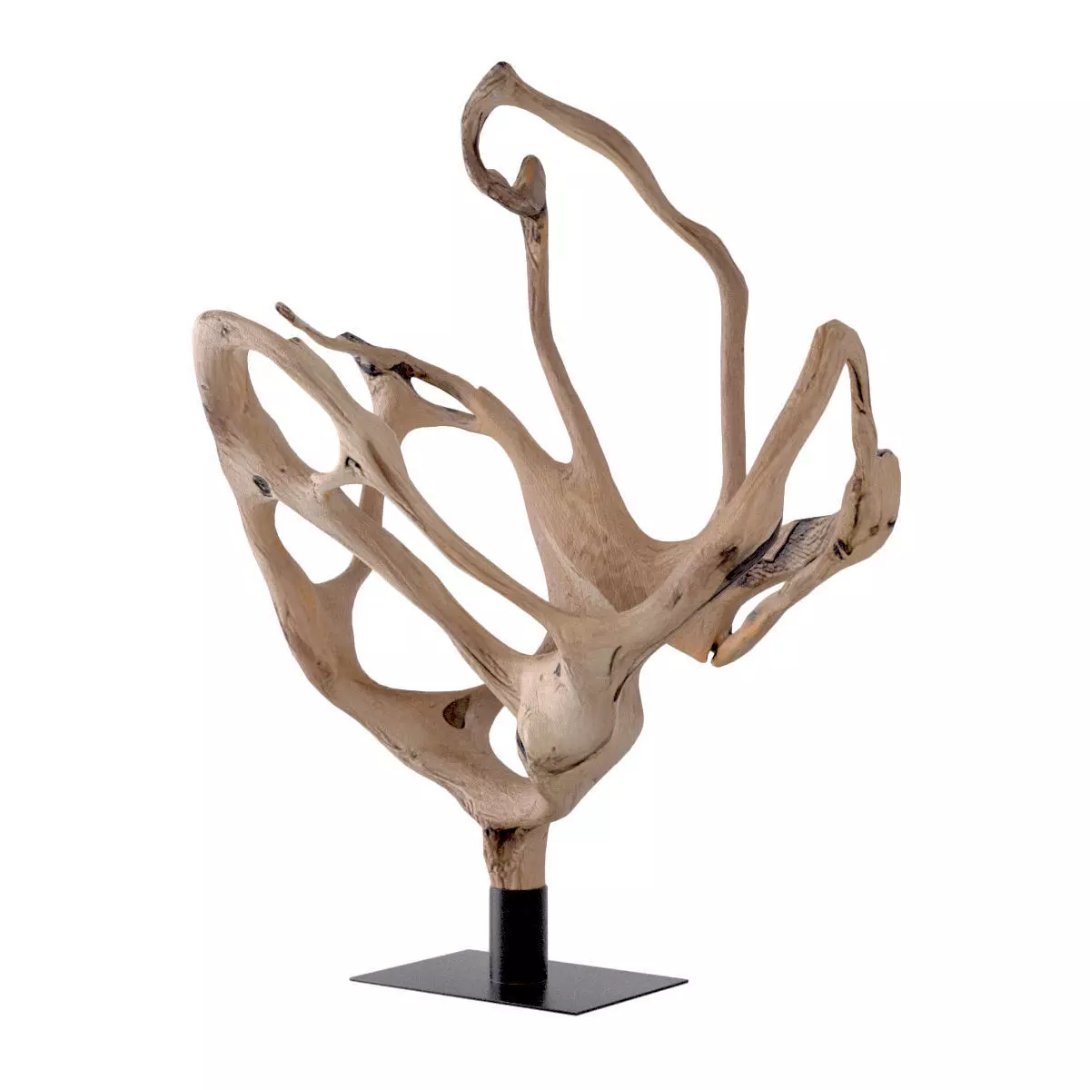 Large Natural Teak Root Wood Sculpture 3D model_4
