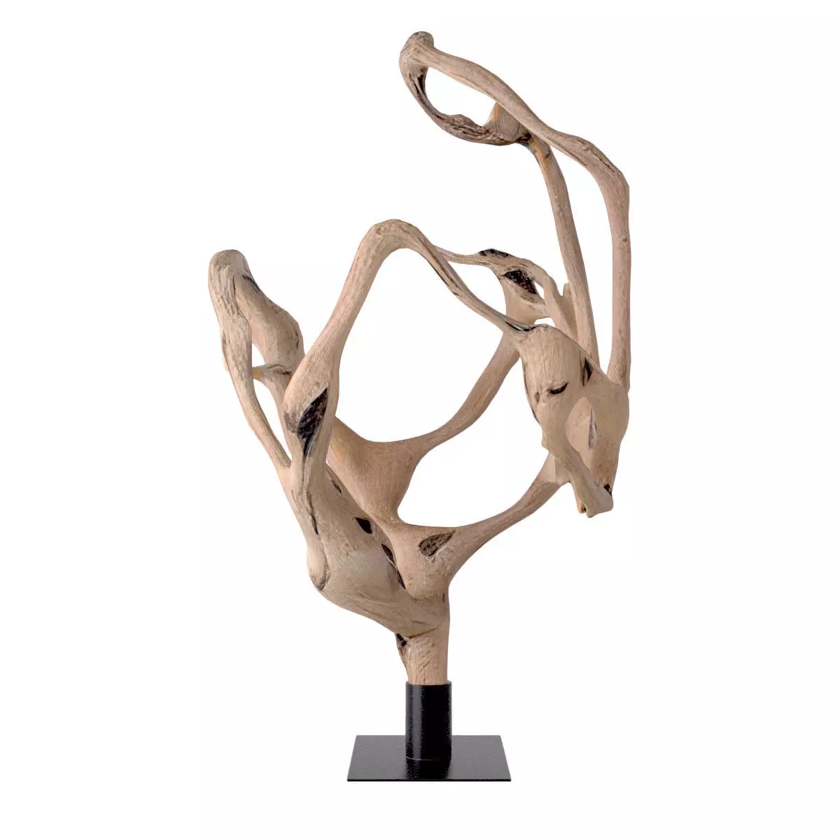 Large Natural Teak Root Wood Sculpture 3D model_3