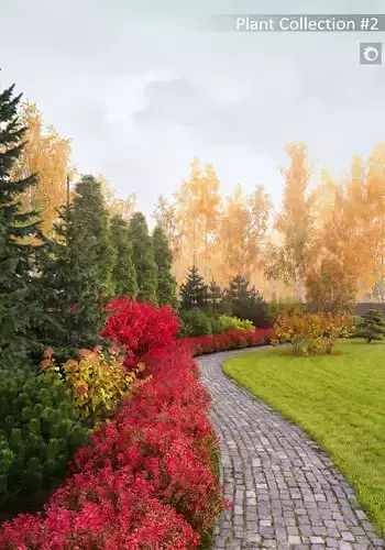 Plants Collection 2 3D model