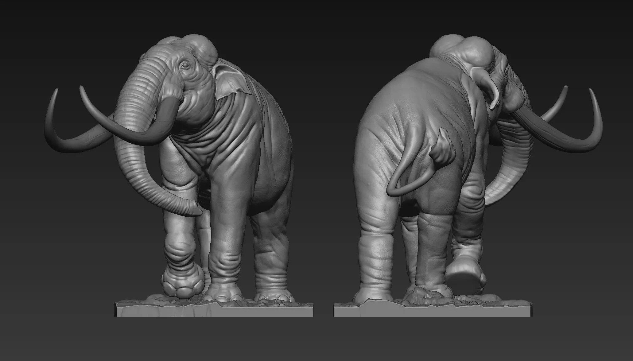 Stegodon  3D print model_2