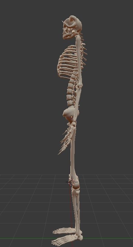 Game Ready MonsterHuman Skeleton Free low-poly 3D model