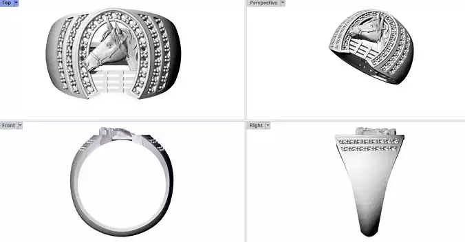 anillo  herradura caballo 