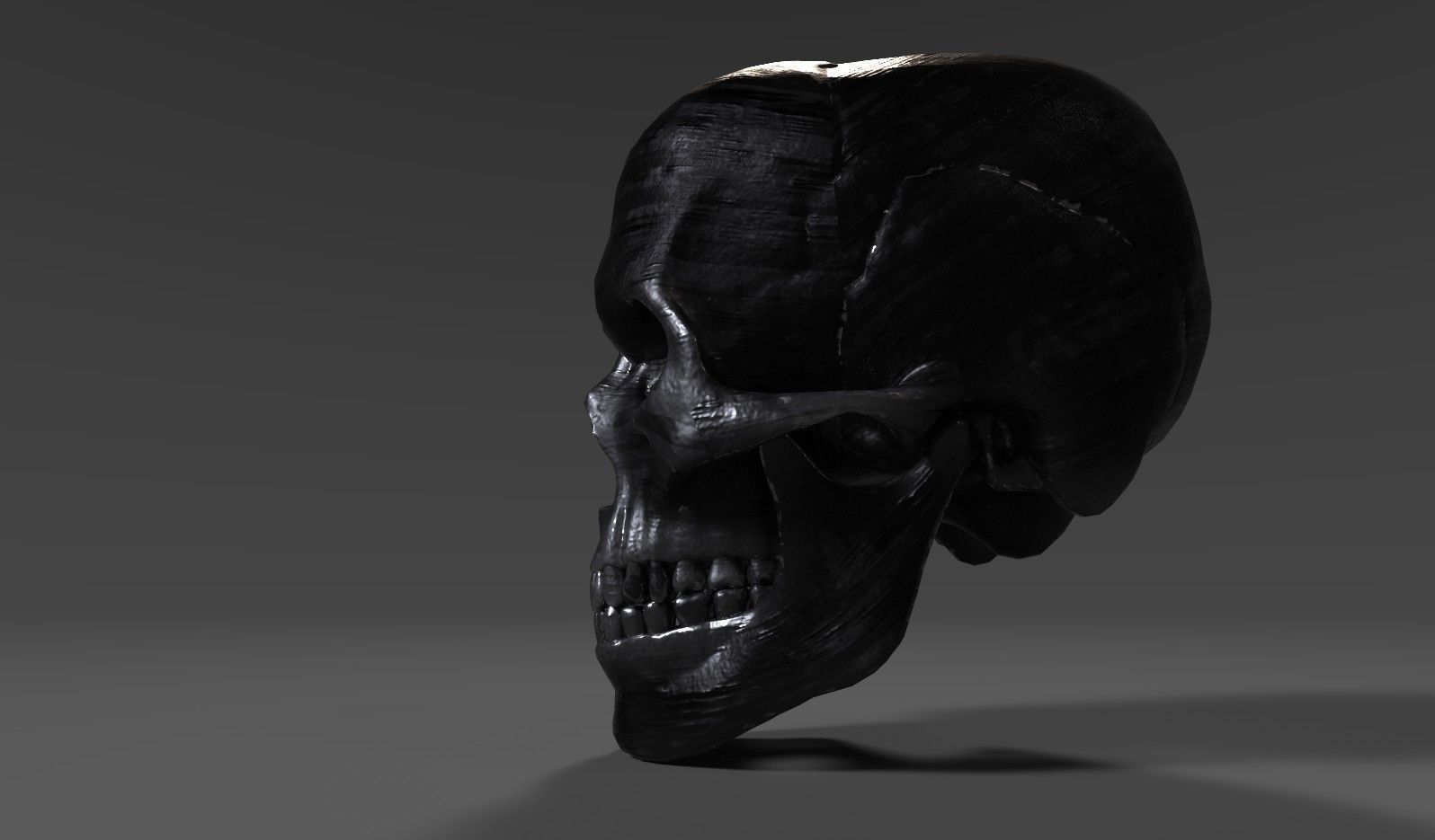 Iron Skull 3D model_1