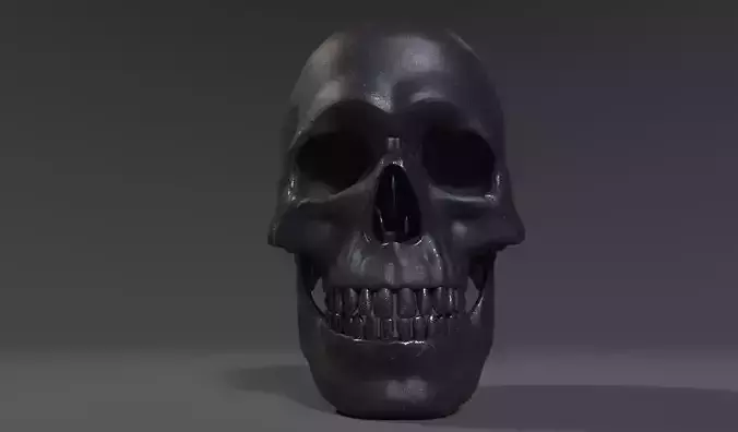 Old metal Skull