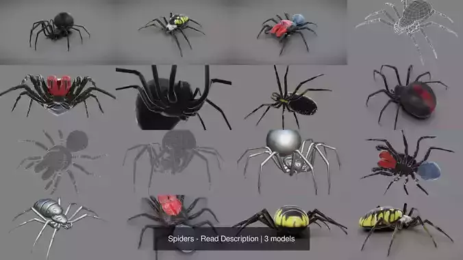 Spiders - Read Description