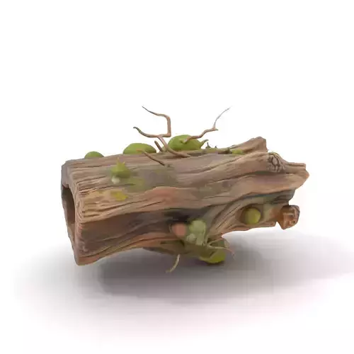 Mossy Driftwood Natural model pack Low-poly 3D model