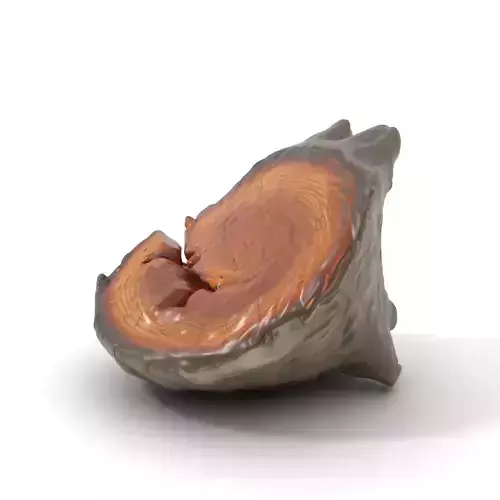 Textured Wooden Log model pack Low-poly 3D model